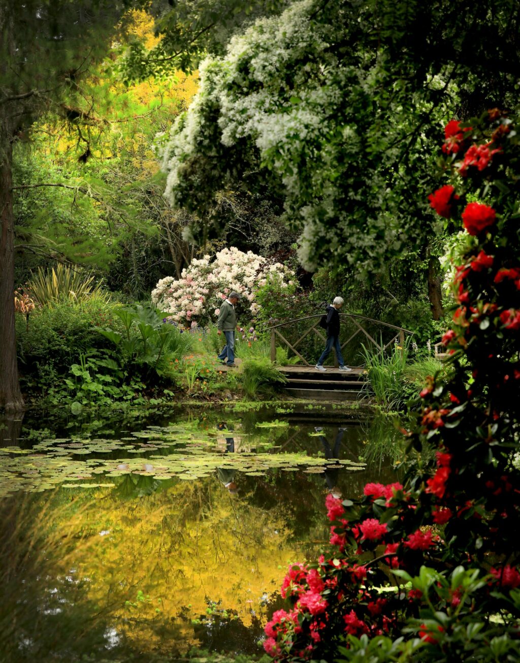 Spring colors envelop John Leipsic of Larkspur and Wendy Robbins of Massachusetts as they tour the Western Hills Garden in Occidental, Tuesday, May 14, 2019. (Kent Porter / Press Democrat) 2019