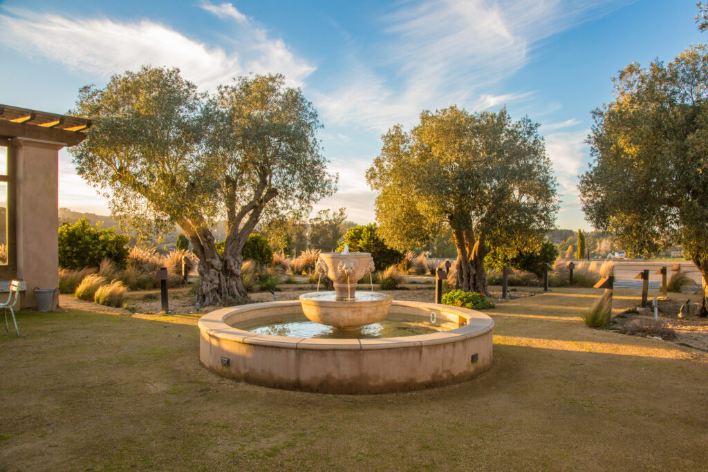 The courtyard at Gold Ridge Organic Farms. (Gold Ridge Organic Farms)