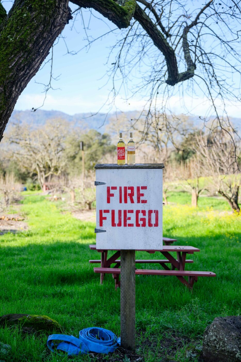  Fire Fuego, a Sauvignon Blanc with a name inspired by a sign on his family's Sonoma Valley farm, is Sporer's signature offering. (James Joiner/For Sonoma Magazine)