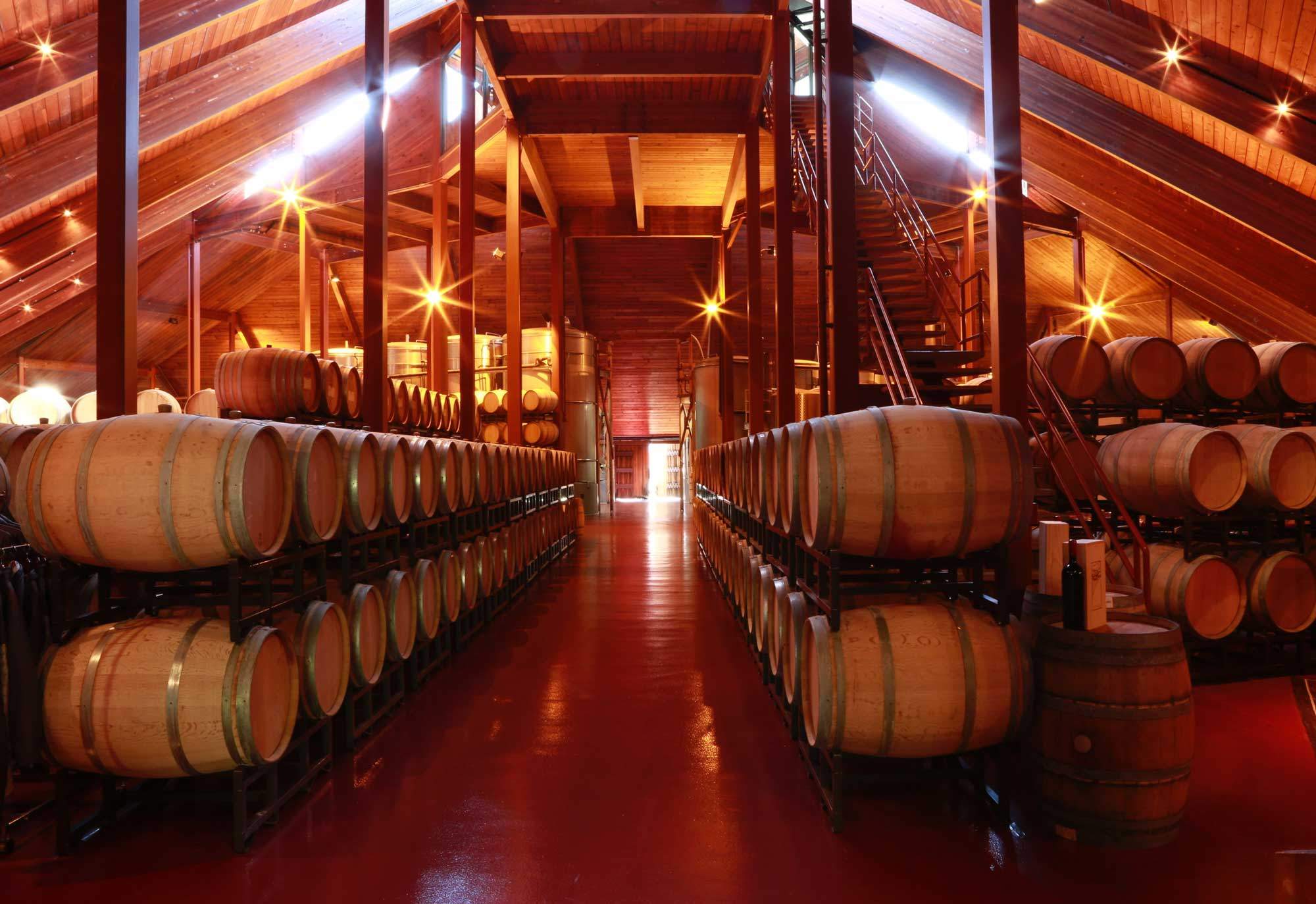 Inside Chappellet's pyramid-shaped winery