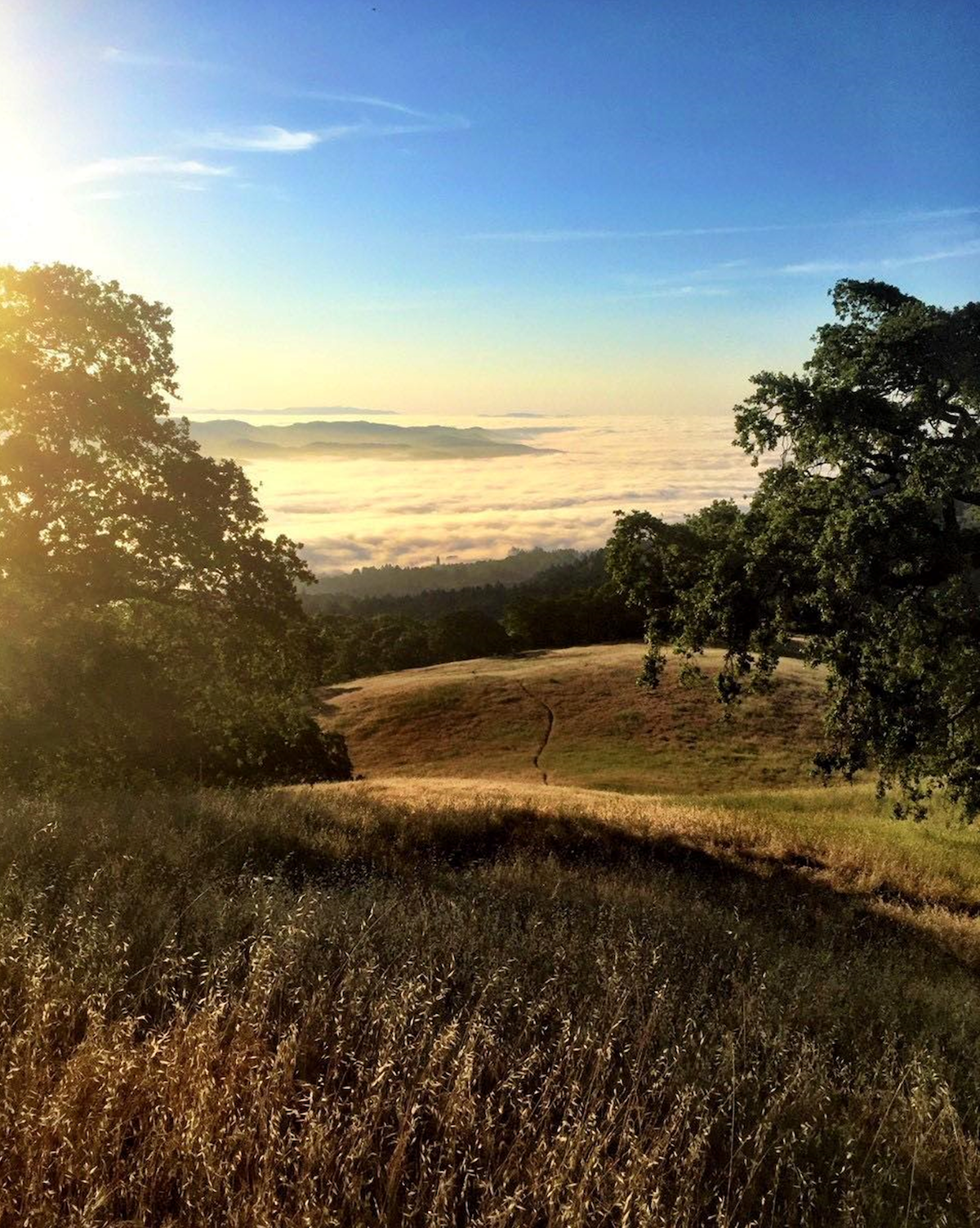 Summit at Jack London State Historic Park