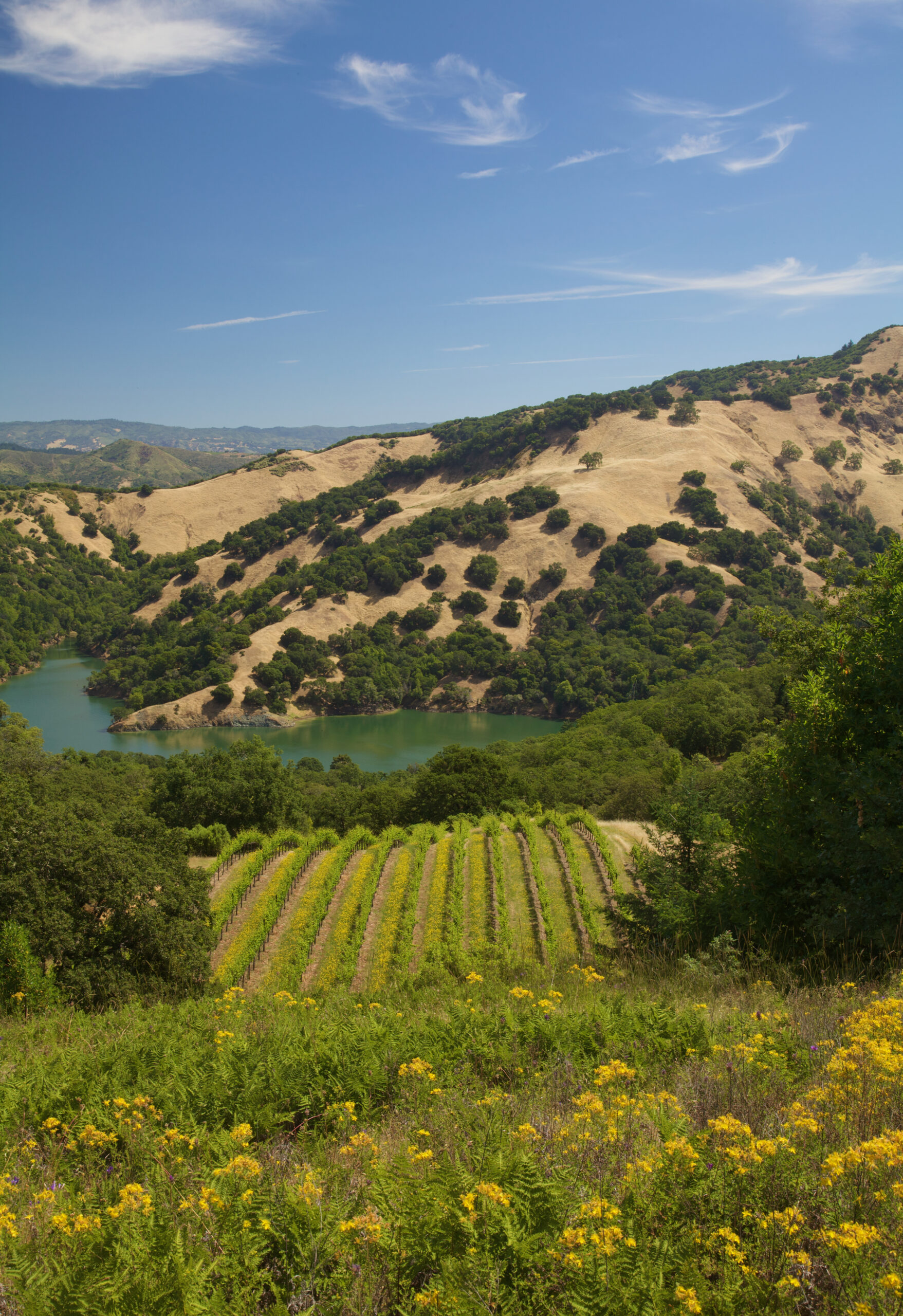 Lake Sonoma