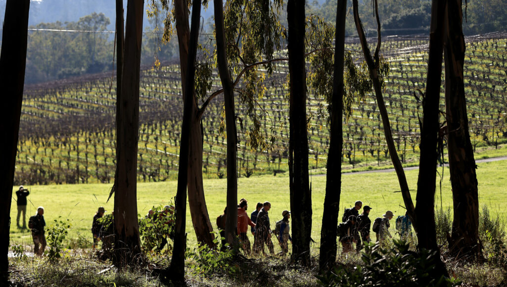 Hikers set off on the 11th Annual First Day Hike, Monday, Jan. 1, 2024, at Jack London State Historic Park in Glen Ellen. (Kent Porter / The Press Democrat)
