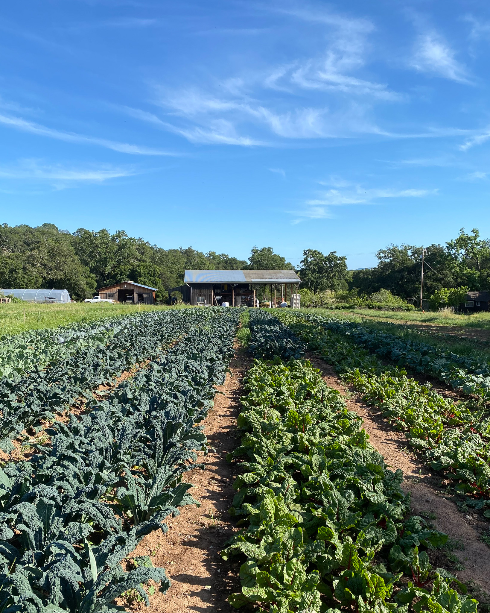 Oak Hill Farm in Glen Ellen