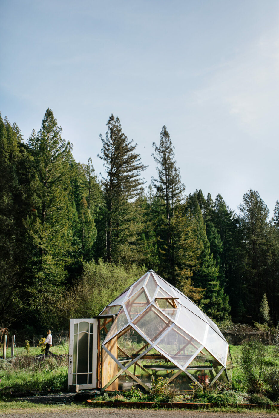 Solar Punk Farms