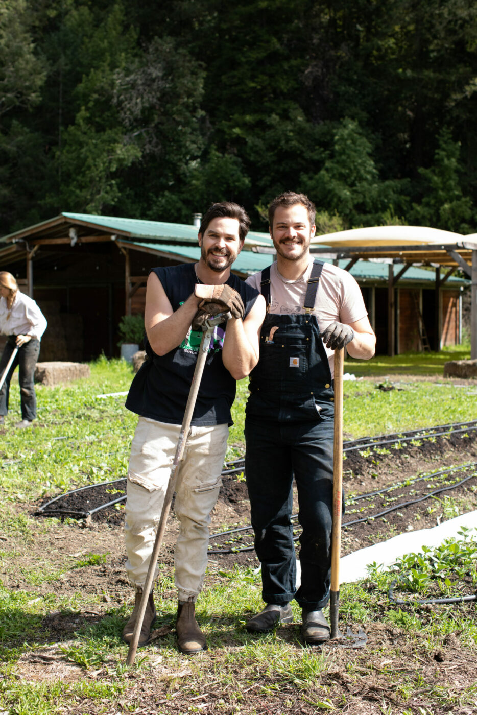Solar Punk Farm