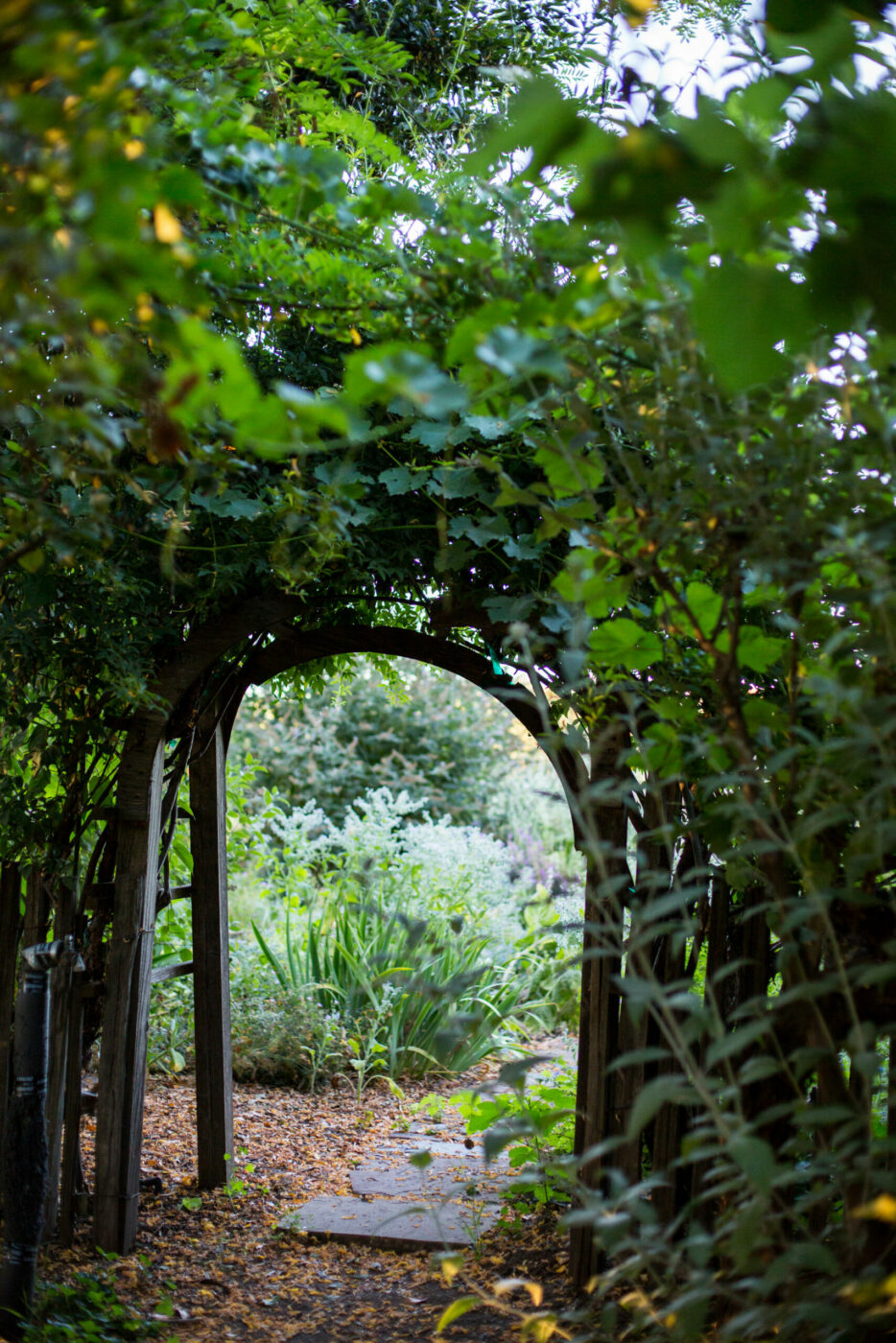 Find hidden spots like scenes from The Secret Garden at Preston Farm & Winery in Healdsburg. (Airyka Rockefeller)
