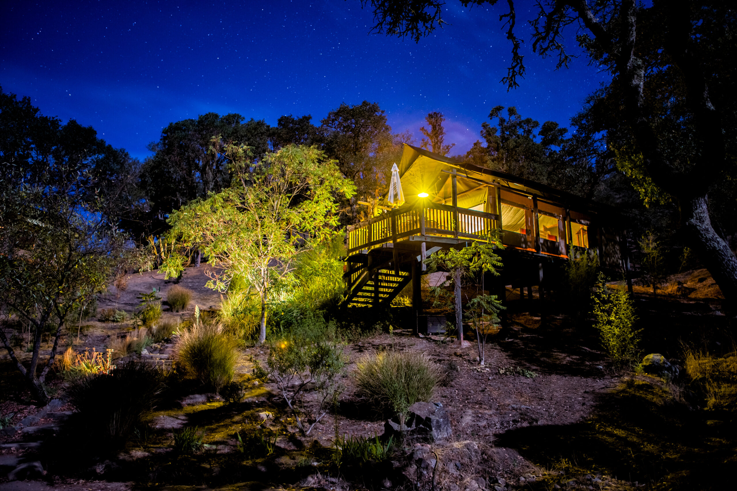 Safari West Named No. 1 Glamping Spot in the Country