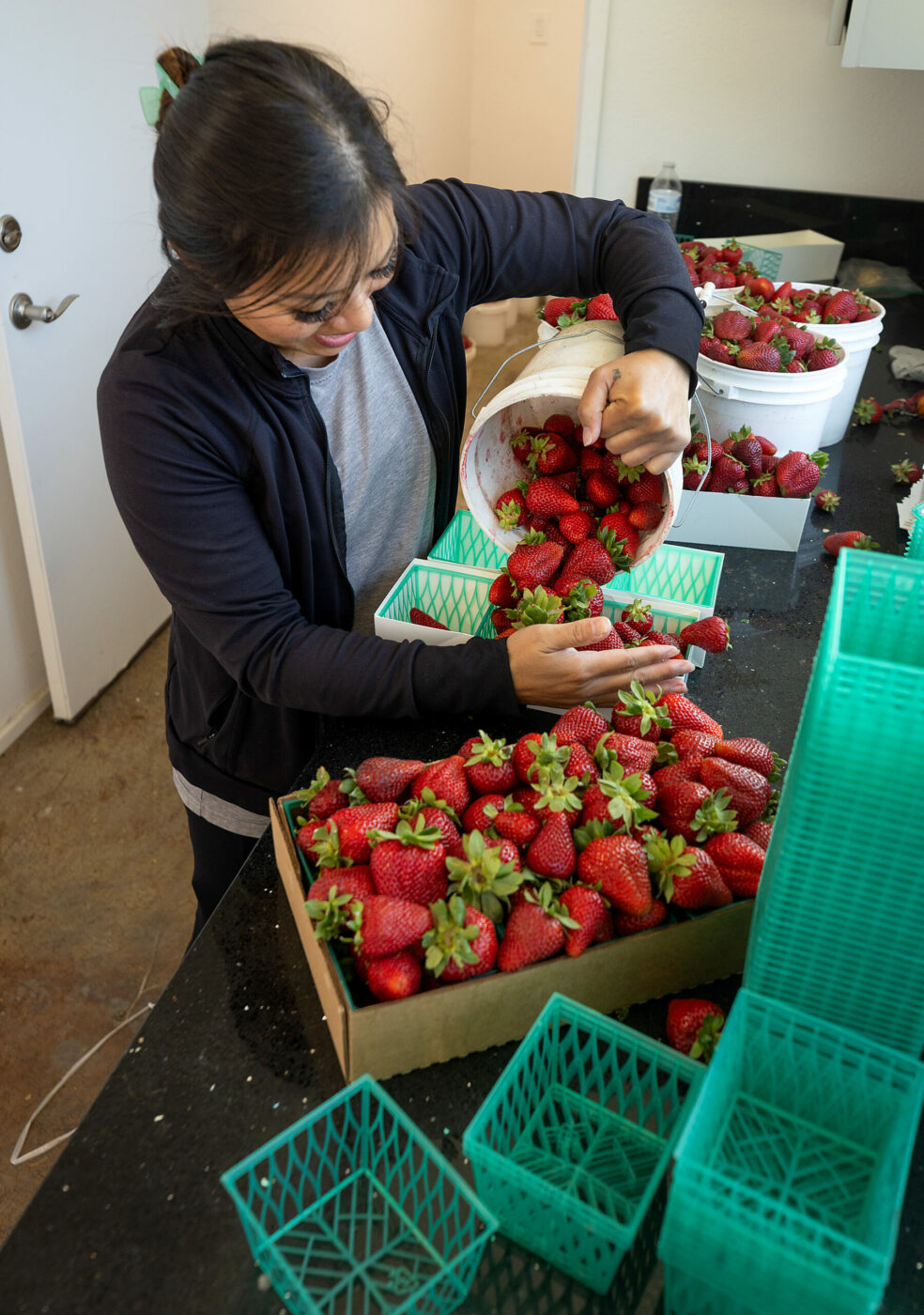 strawberry stand