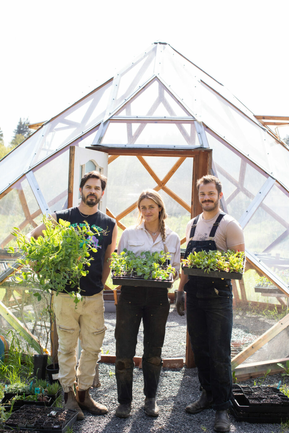 Solar Punk Farms