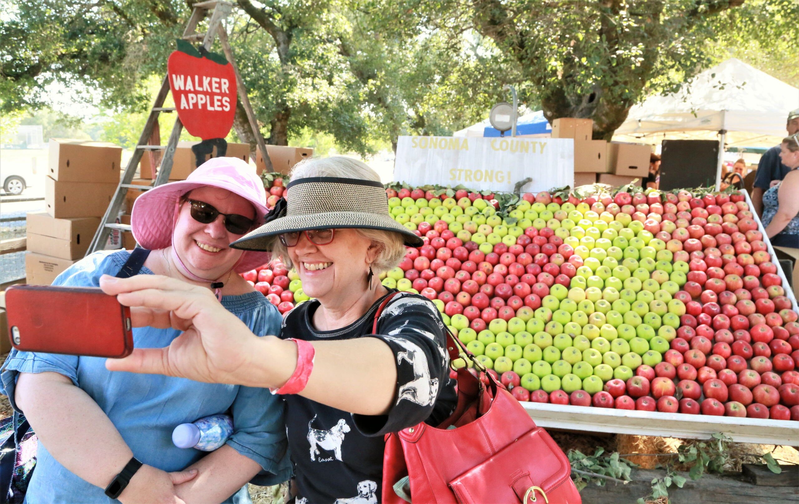 Here's What To Expect at the 52nd Annual Gravenstein Apple Fair in Sebastopol
