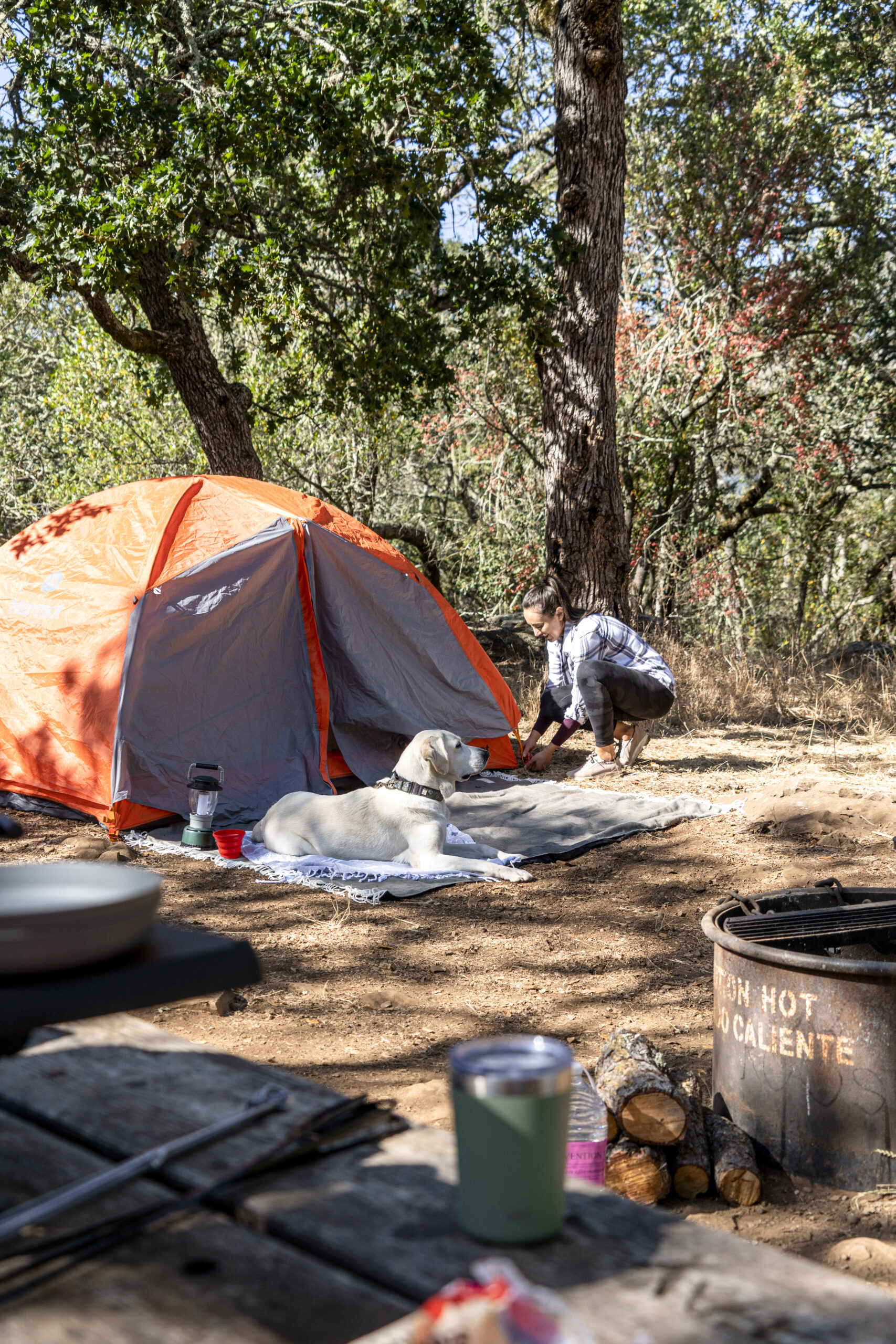 Camp site