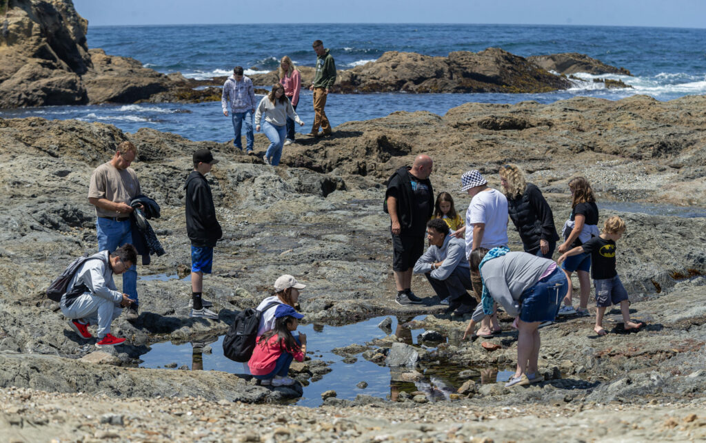Visitors check out the tide pools near Glass Beach along the Fort Bragg Coastal Trail in Fort Bragg, Friday, Aug. 4, 2023. (Chad Surmick / The Press Democrat)