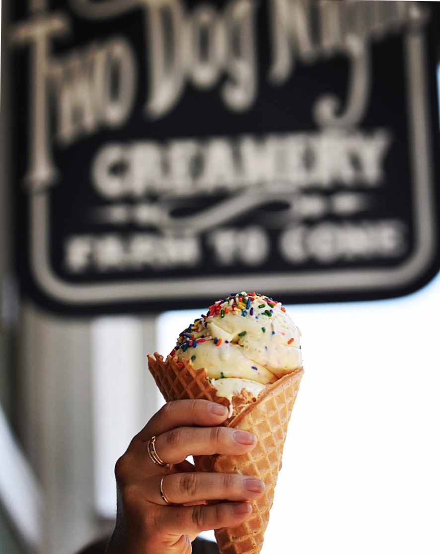 Ice cream from Two Dog Night Creamery in Sebastopol. (Sonoma County Tourism)
