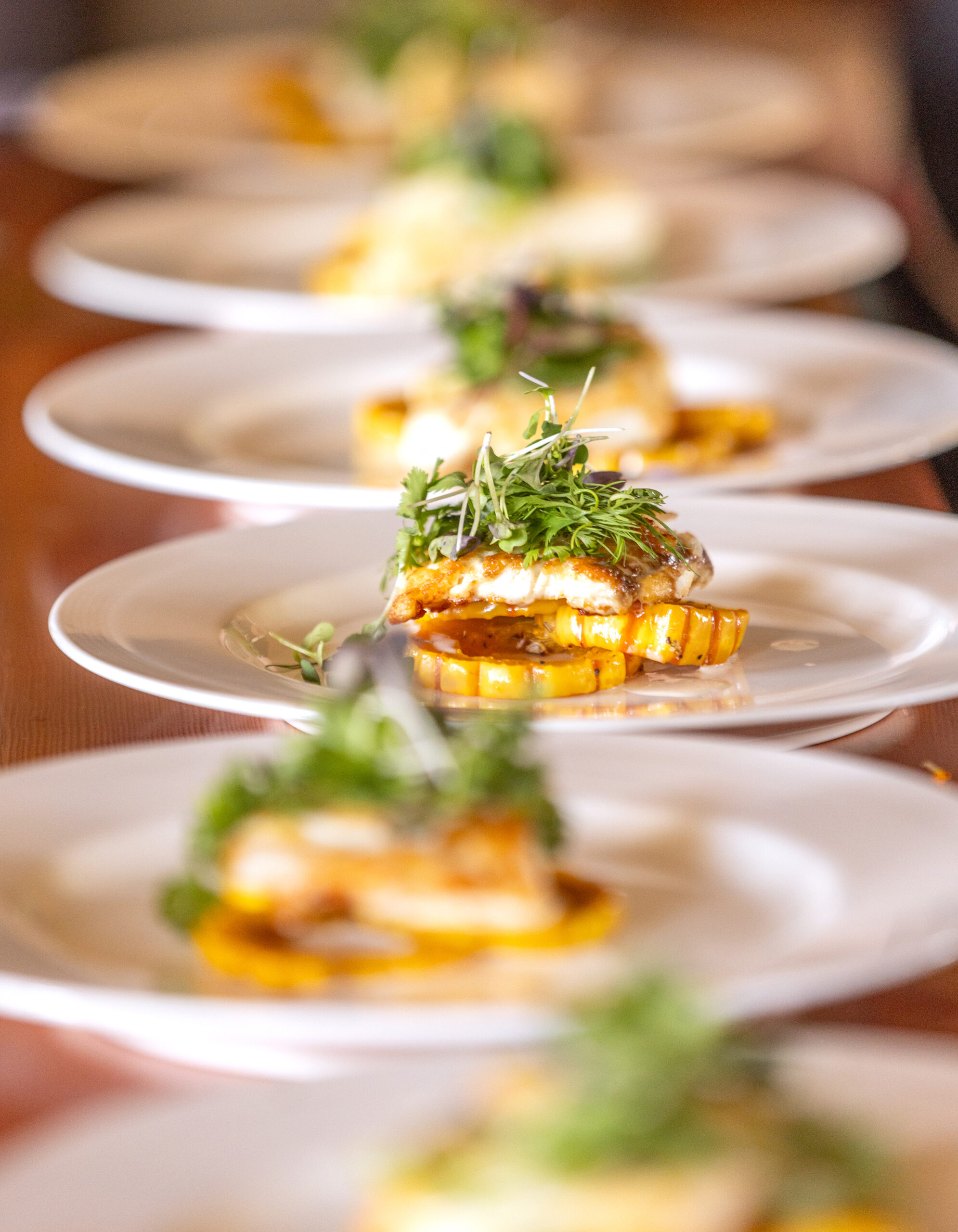 Halibut at Grateful Dead harvest dinner