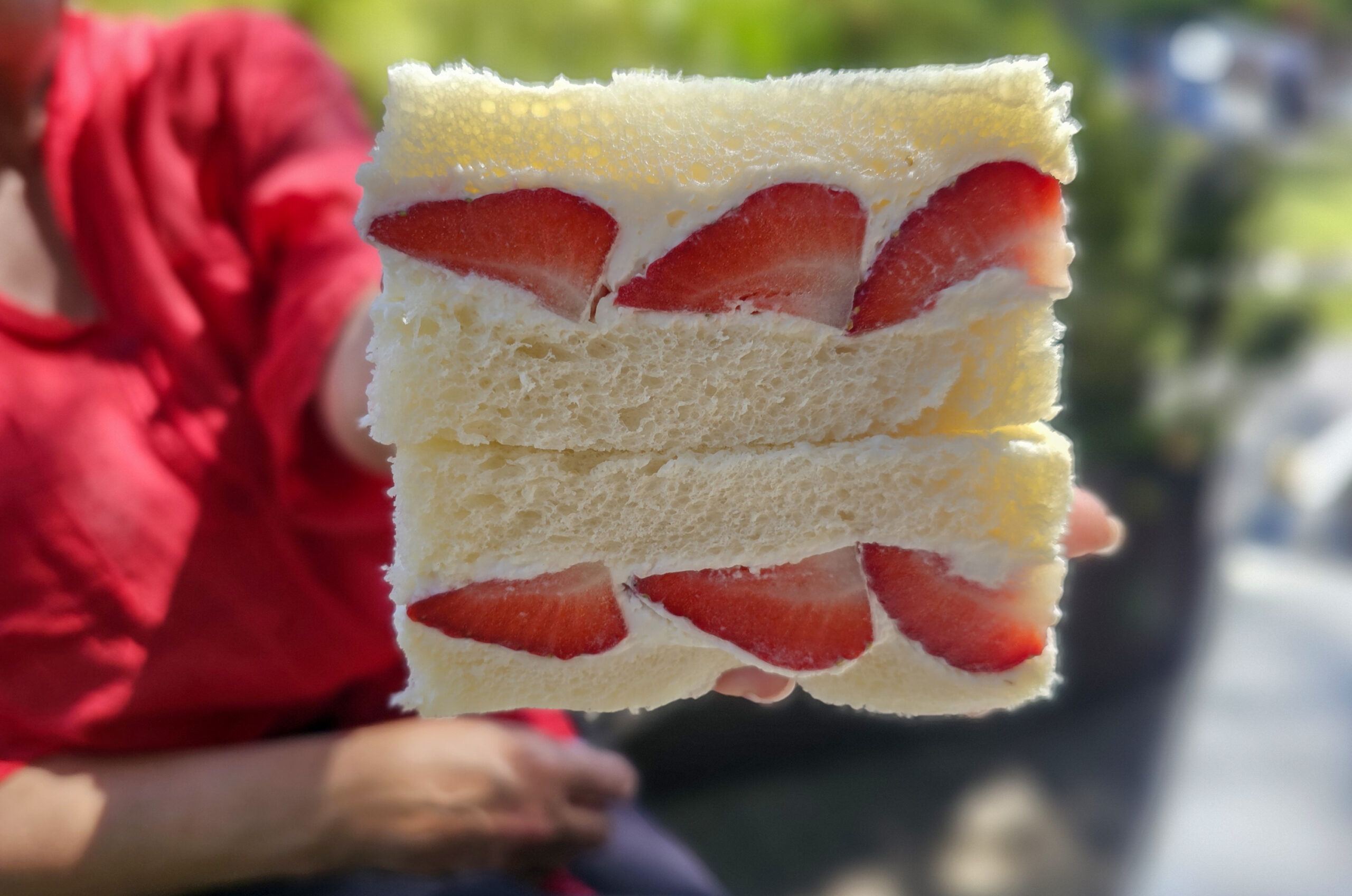 Salt & Sea finger sandwich