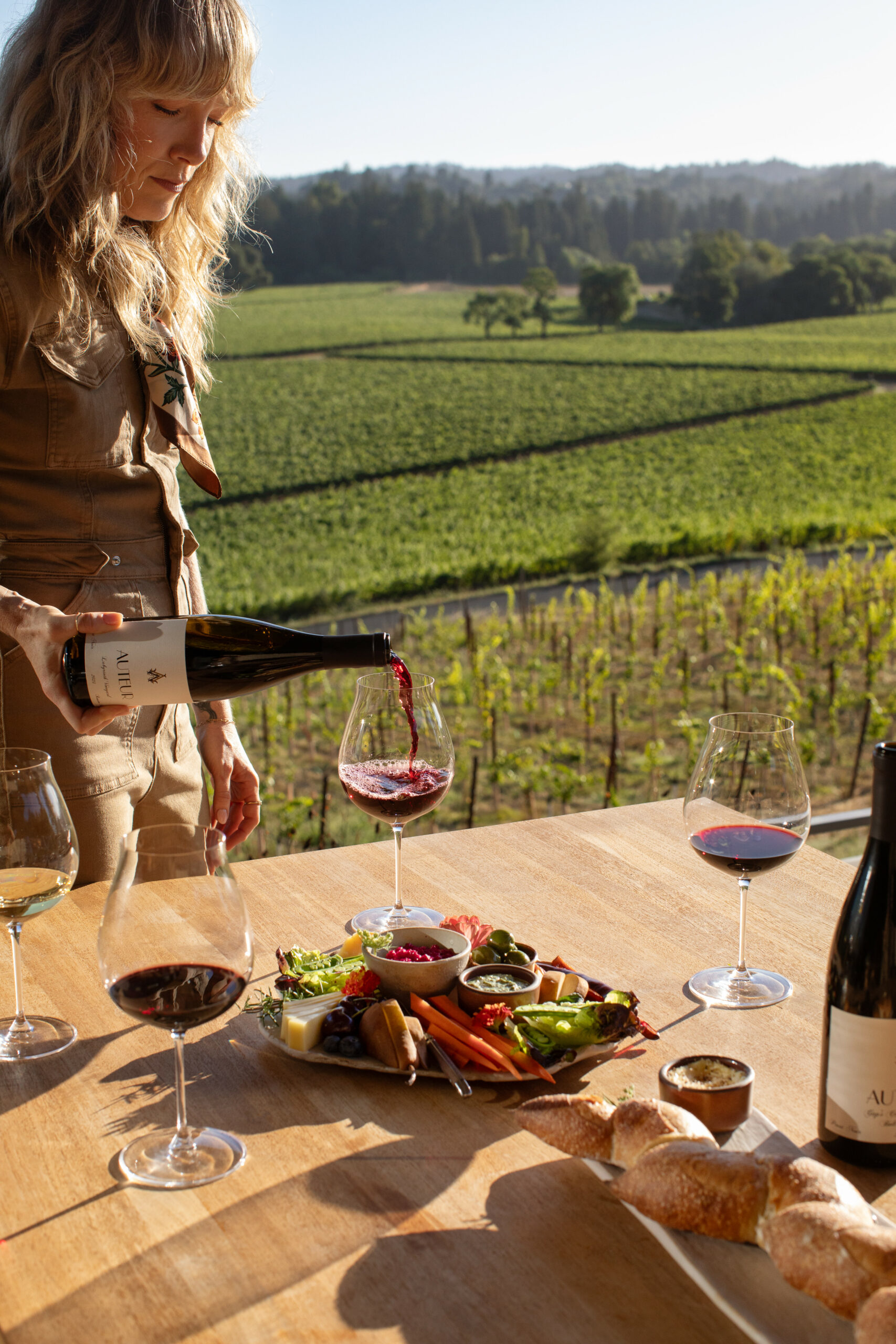 Auteur Wines in the Russian River Valley