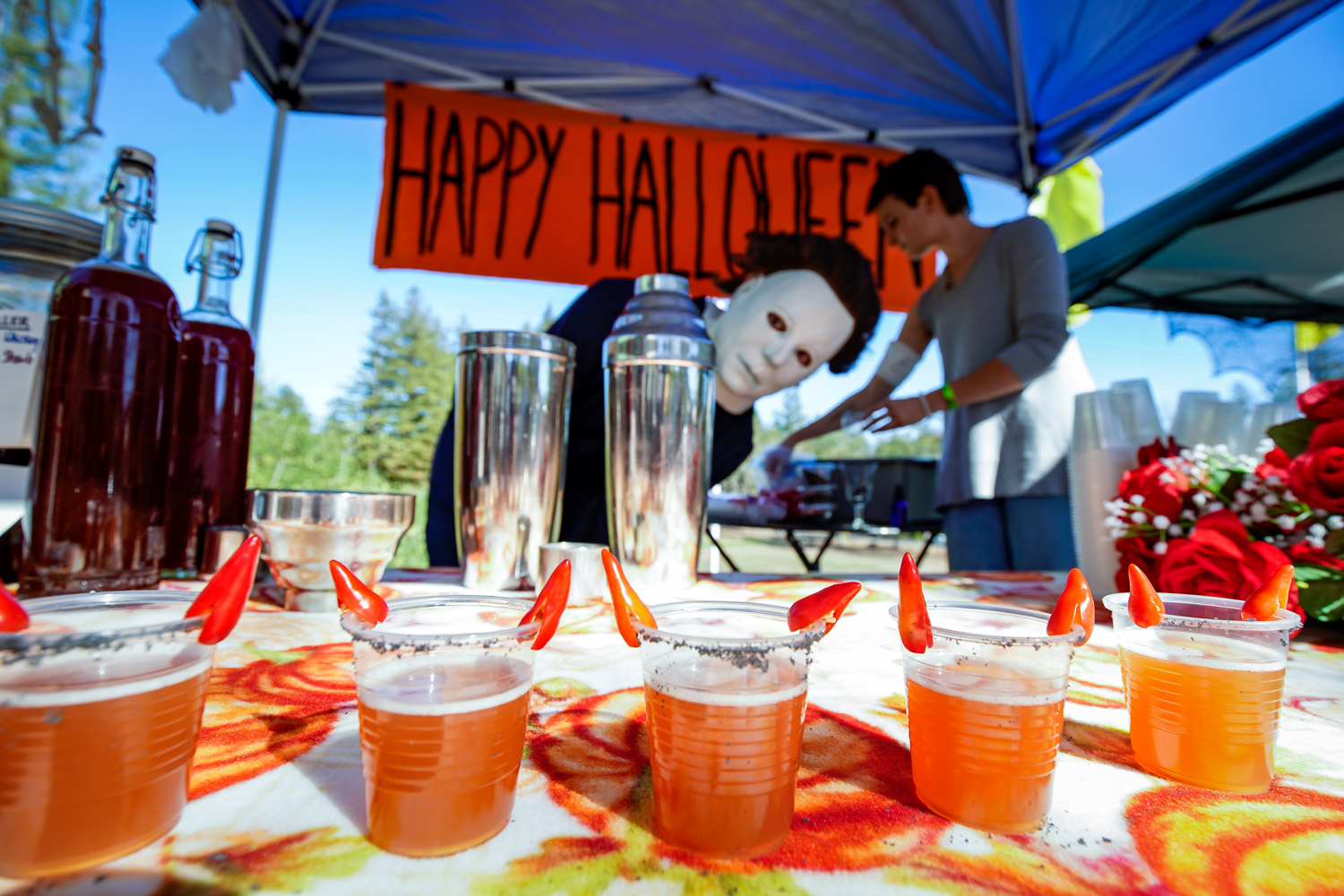 Hand-crafted cocktails made during the Wizards of Elixirs Cocktail Competition in 2024. This year's Wizards of Elixirs competition will take place Oct. 28 at Brewsters Beer Garden in Petaluma. (Don Lex)