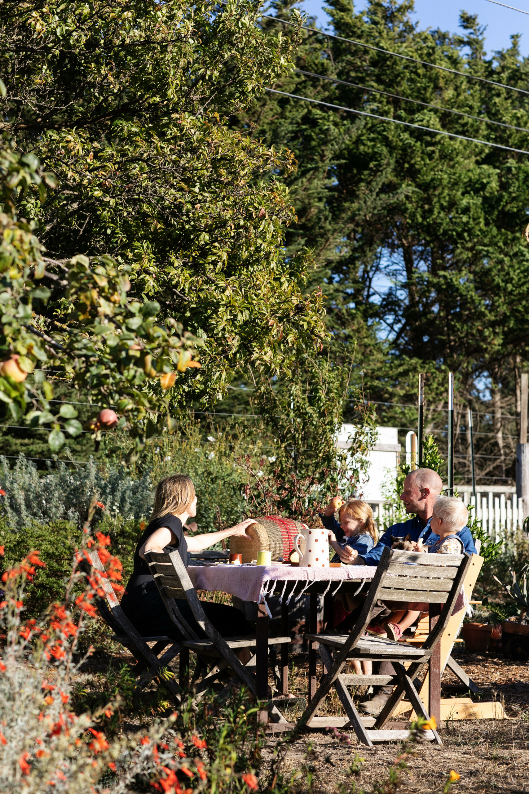 The Nichols family enjoys a sunny autumn day in their garden. (Eileen Roche / for Sonoma Magazine)