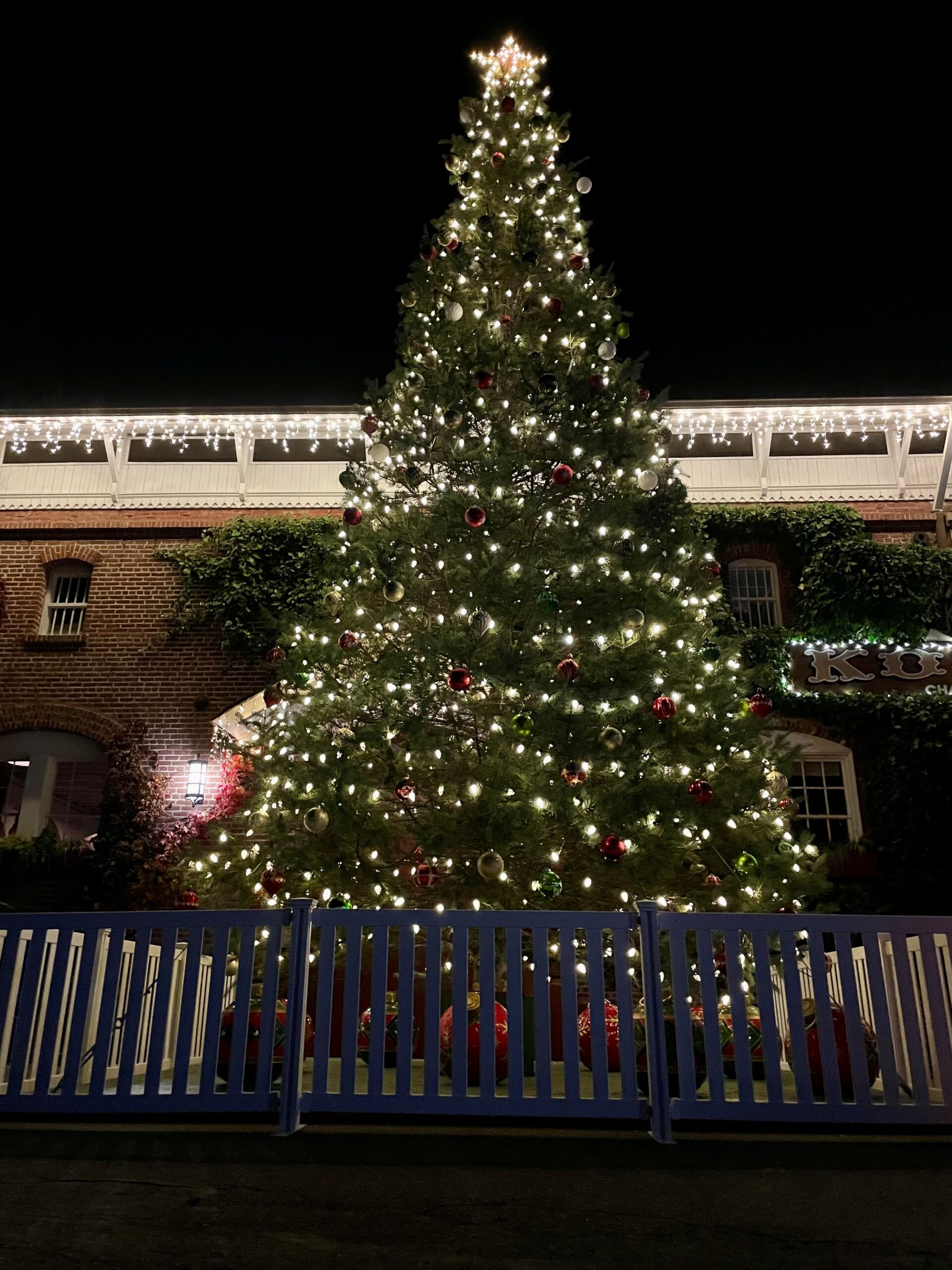 A 25-foot Christmas tree wrapped in lights stands in front of Korbel Champagne Cellars in Guerneville. (Korbel Champagne Cellars)