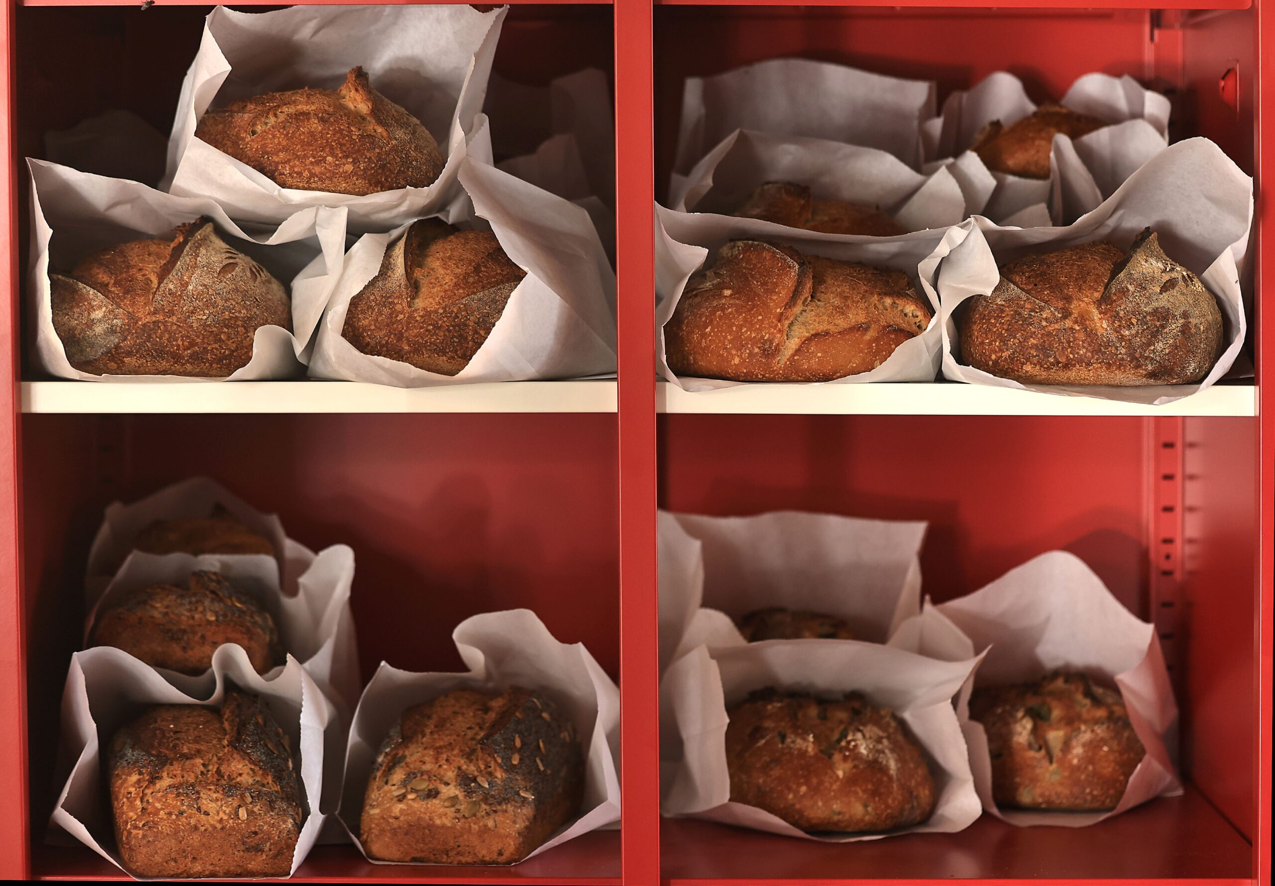 Quail & Condor bakery