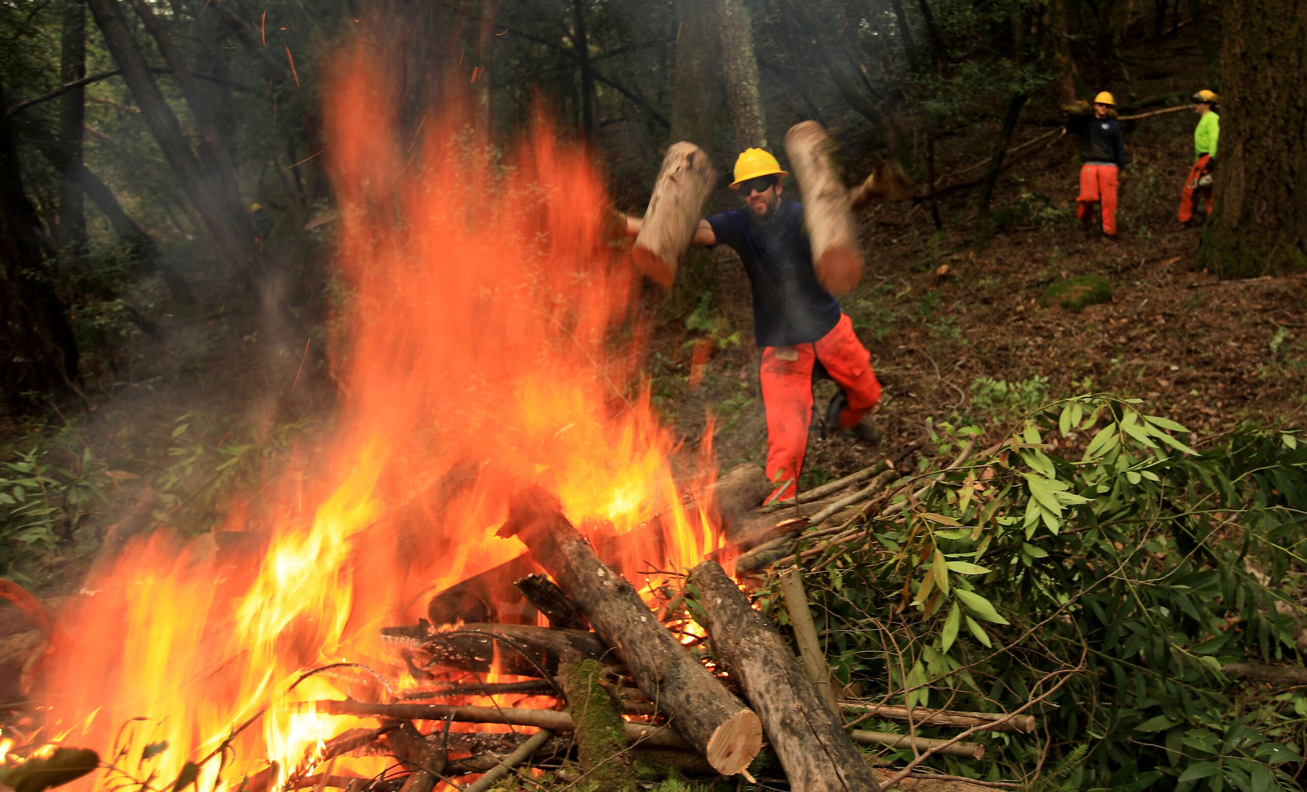 Scott Keneally, of the Good Fire Project, feeds a pile burn