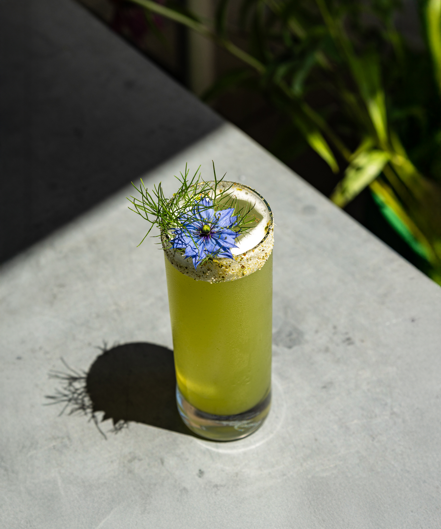 The Garden Gnome nonalcoholic drink from Little Saint in Healdsburg