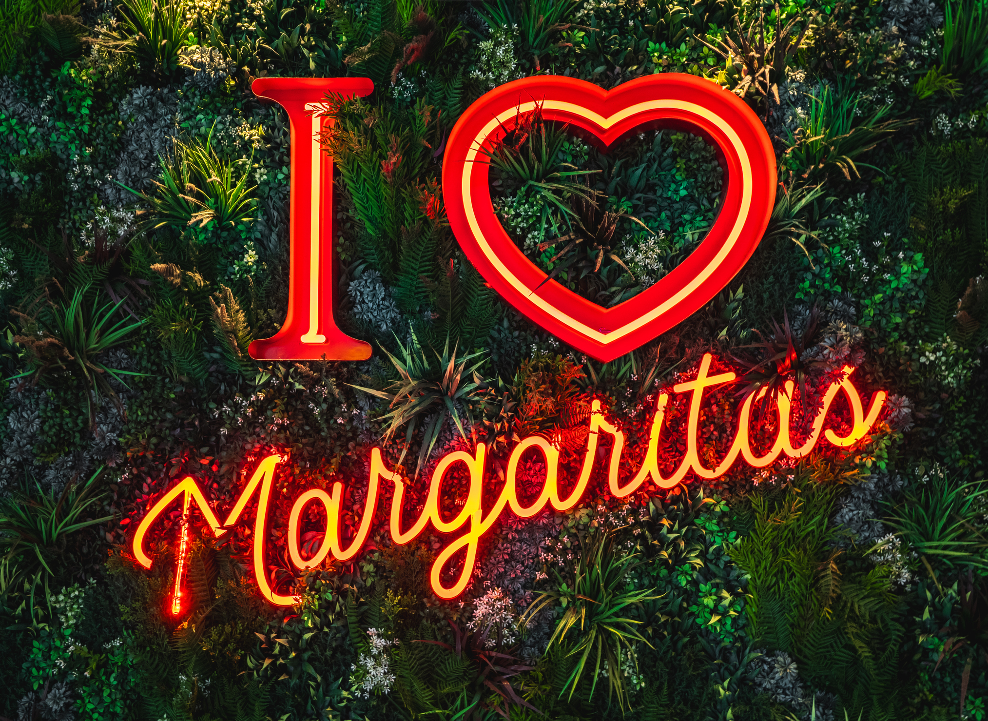 A vibrant and colorful red neon sign outside a cocktail bar advertising I Heart Margarita cocktails on a living wall background