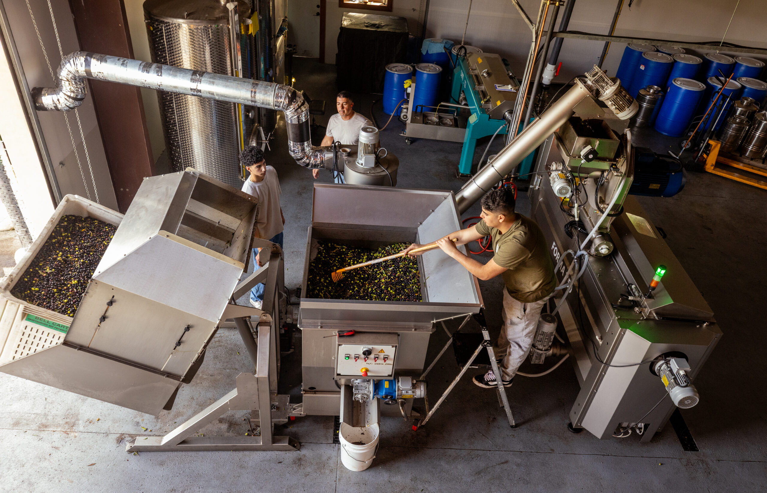 Husary olive oil mill