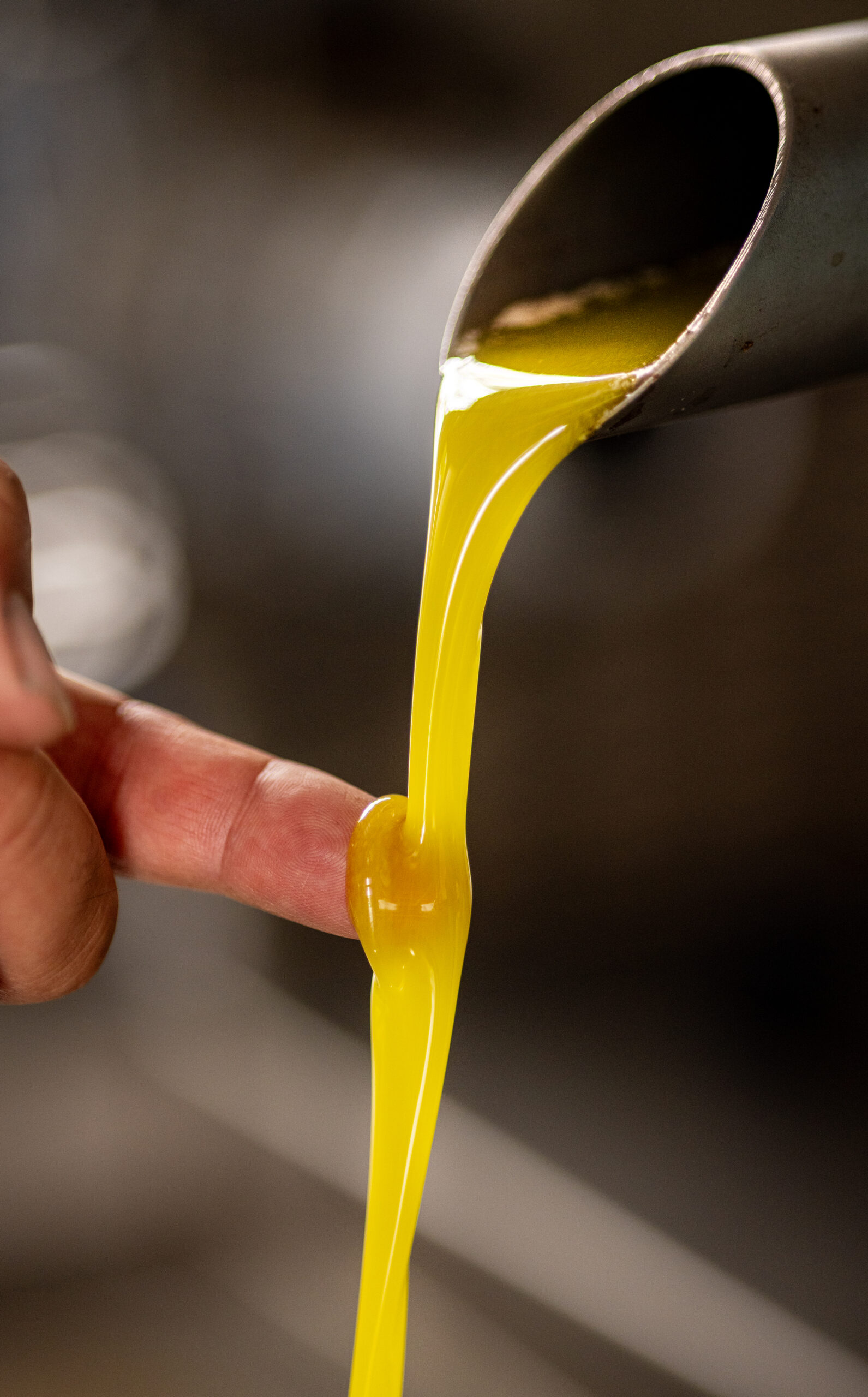 Olive oil pour