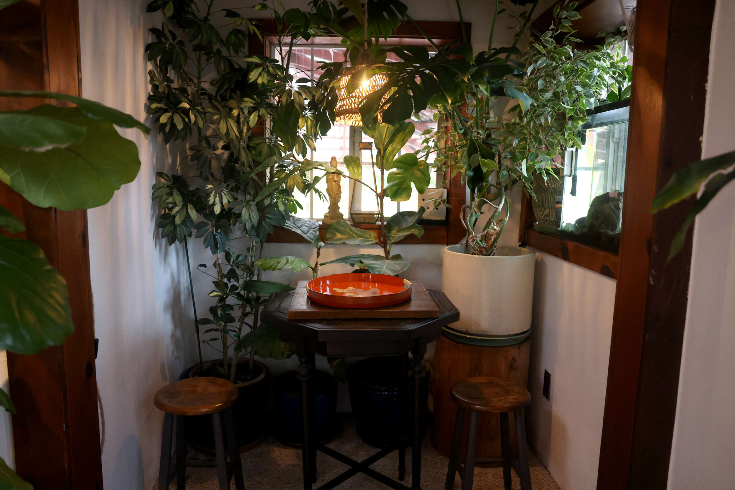A seating area at Two Trees Tea House in Occidental Wednesday, Feb. 12, 2025. (Beth Schlanker / The Press Democrat)