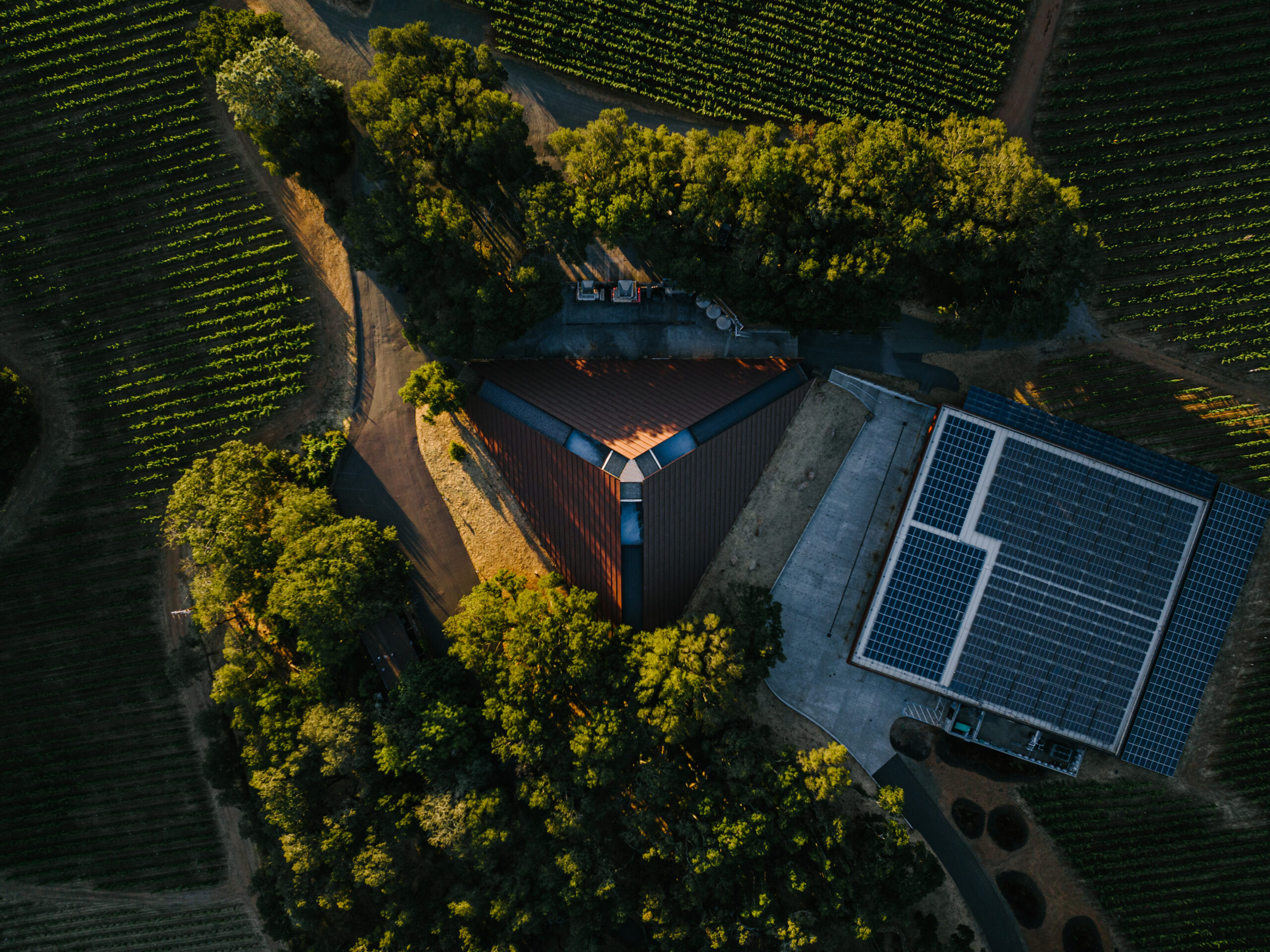 Aerial view of Chappellet Winery in St. Helena