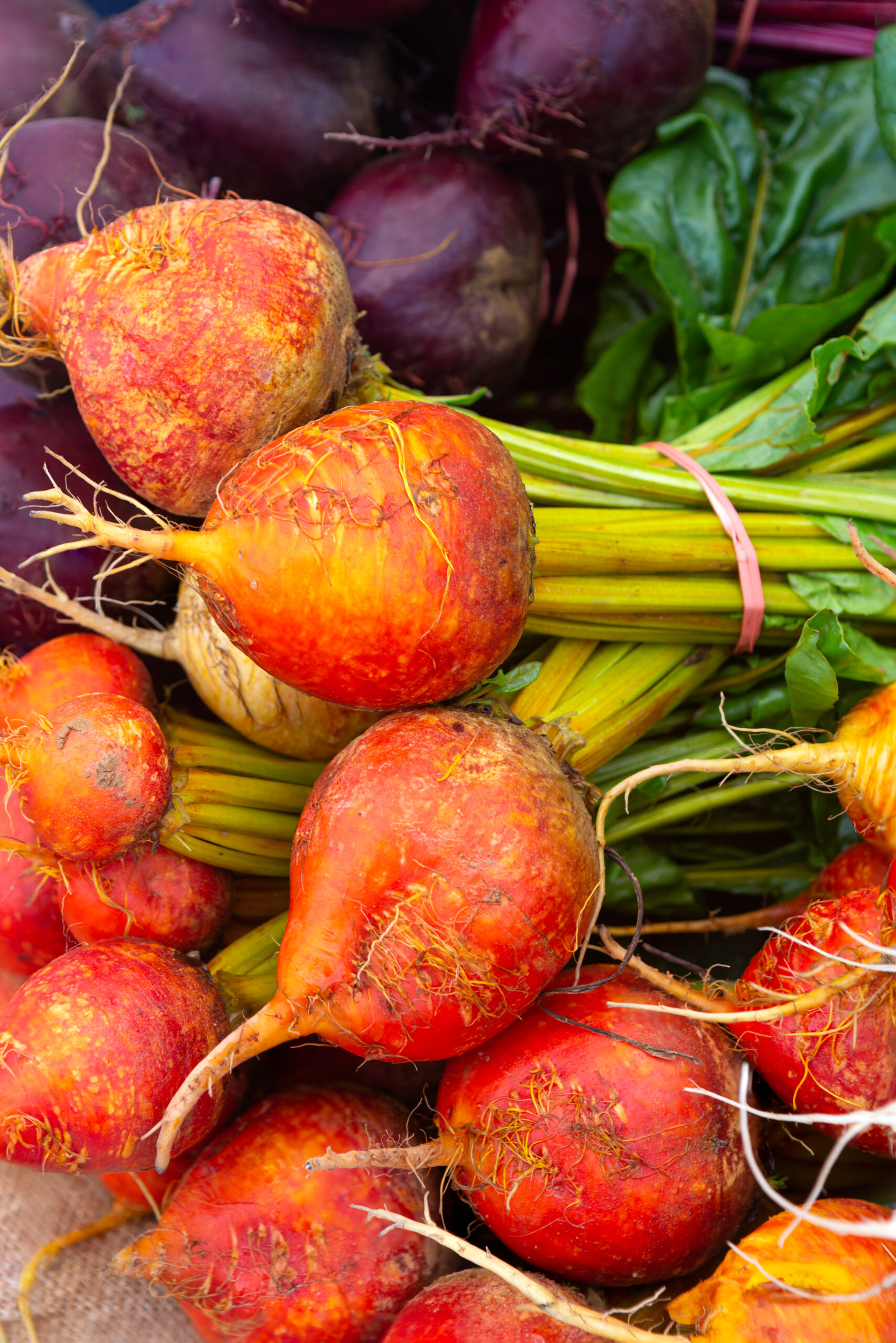 Close-up of fresh golden beets at a farmers market.