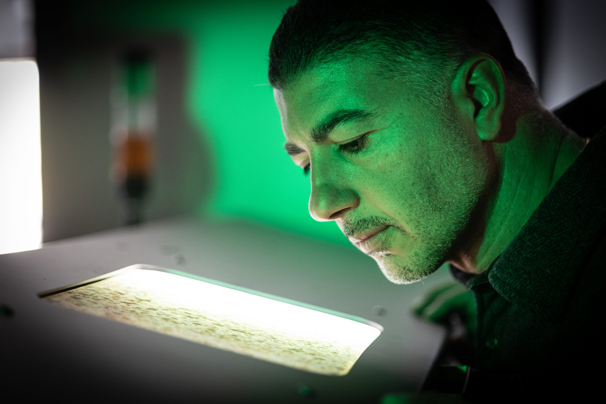 Mousa Husary checks the progress of olives in a mill at his Sebastopol Olive Oil Co. Friday, Oct. 30, 2025 at his home business west of Graton. (John Burgess / The Press Democrat)