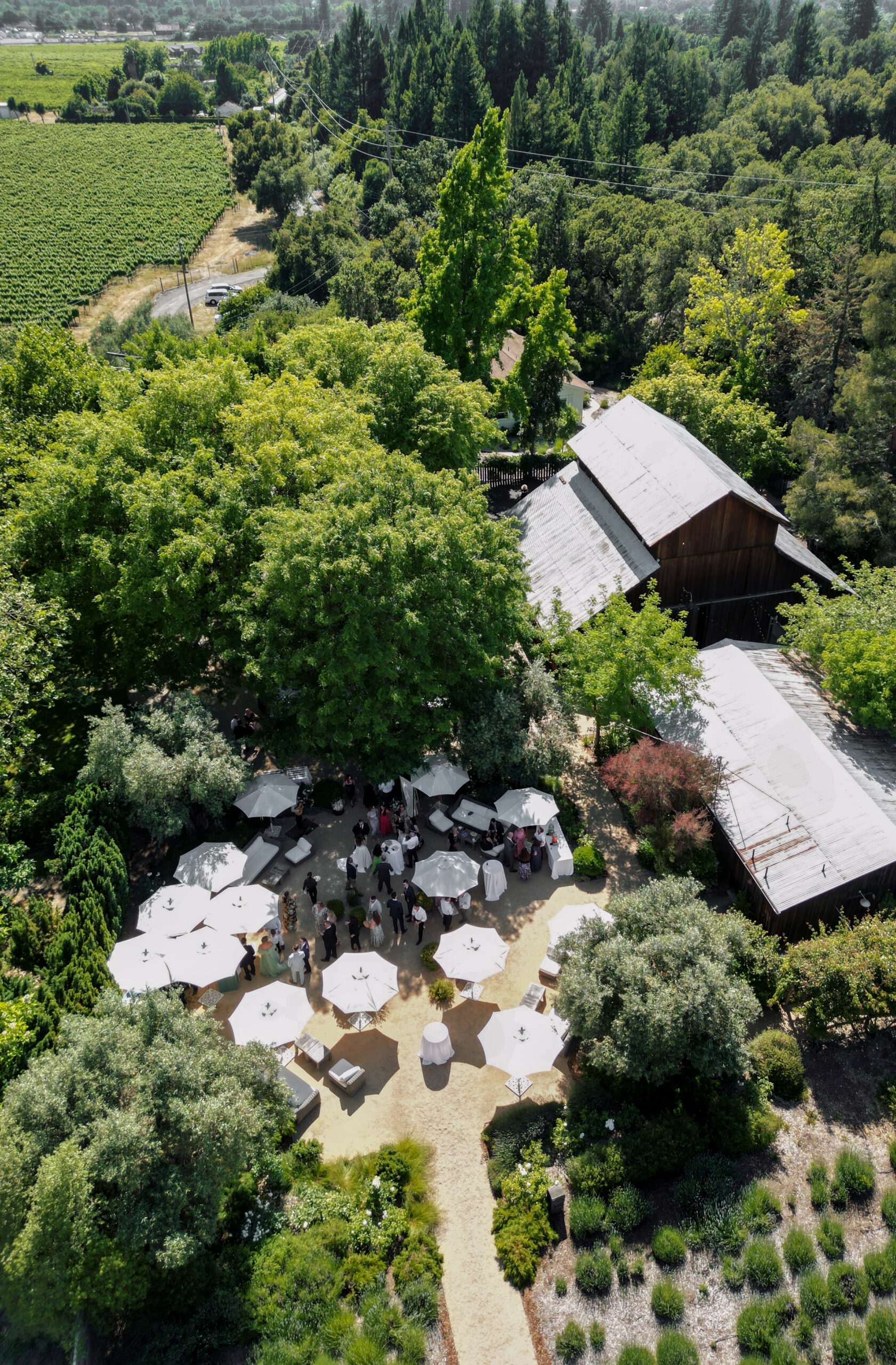 A wedding at Ru’s Farm in Healdsburg