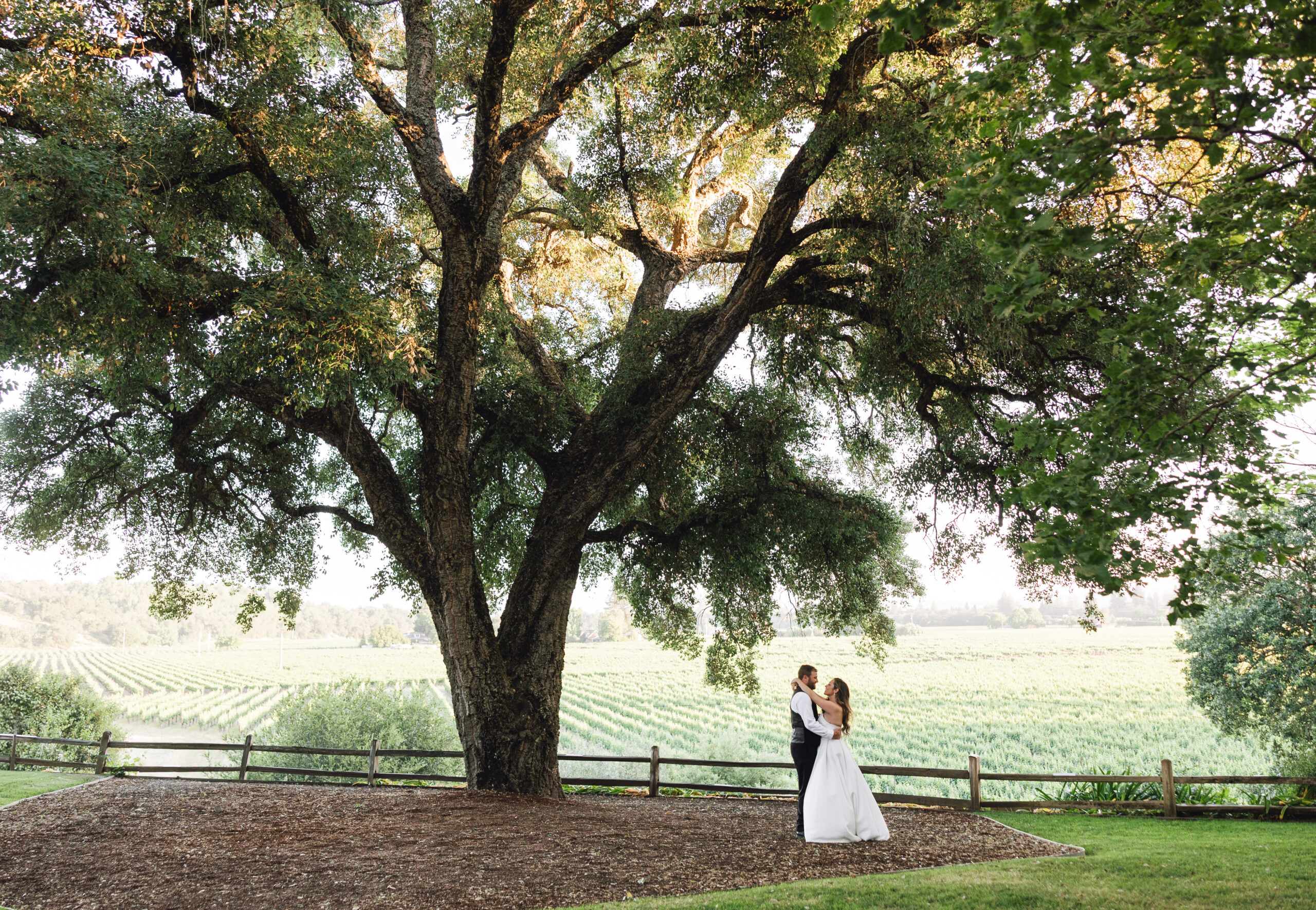 The couple embraces beneath the cool shade of a majestic oak tree. (Ashley Carlascio)
