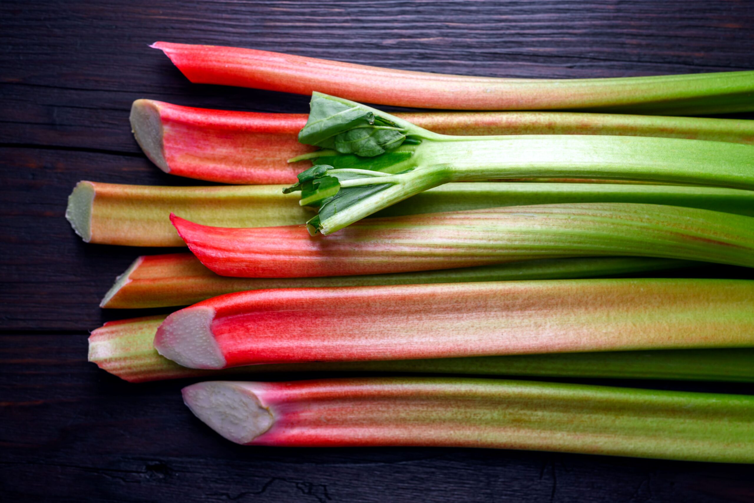 Rhubarb