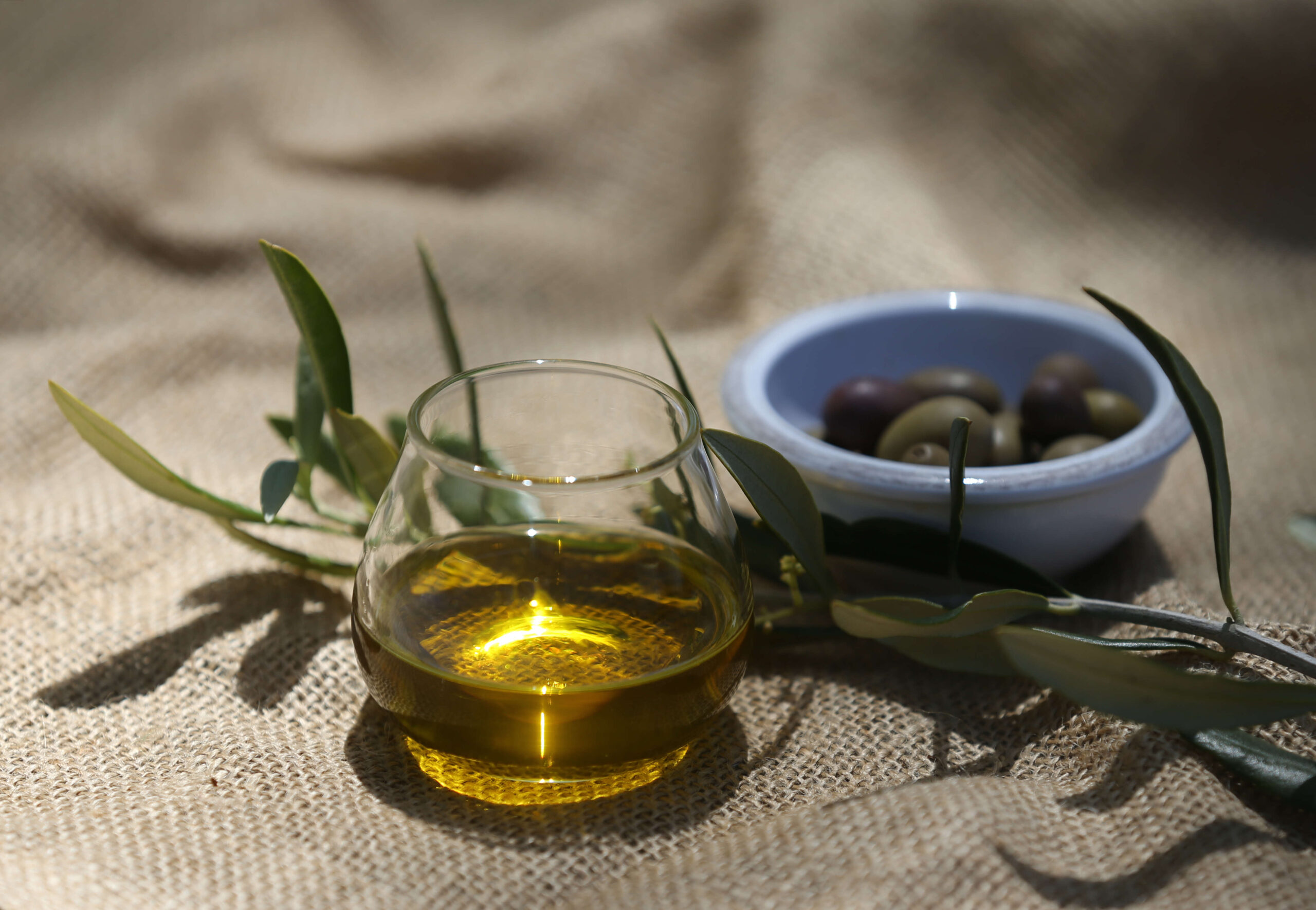 Sonoma County Olive Oil Producers Win California State Fair Awards