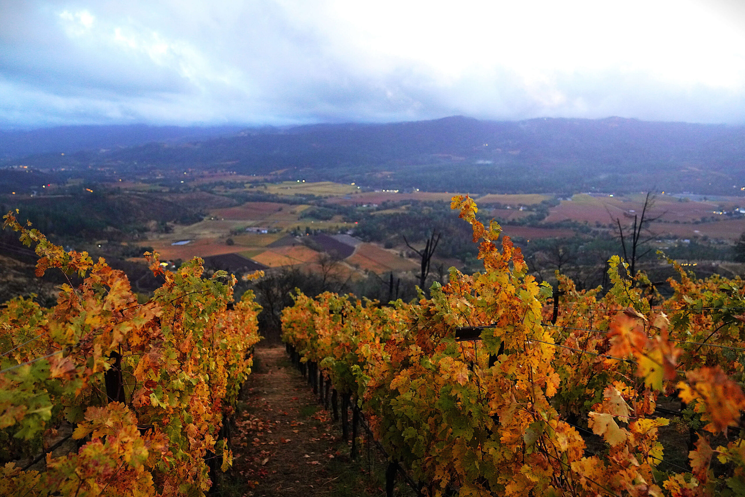 Ryan Seacrest's St. Helena home resides within the Crystal Springs of Napa Valley AVA
