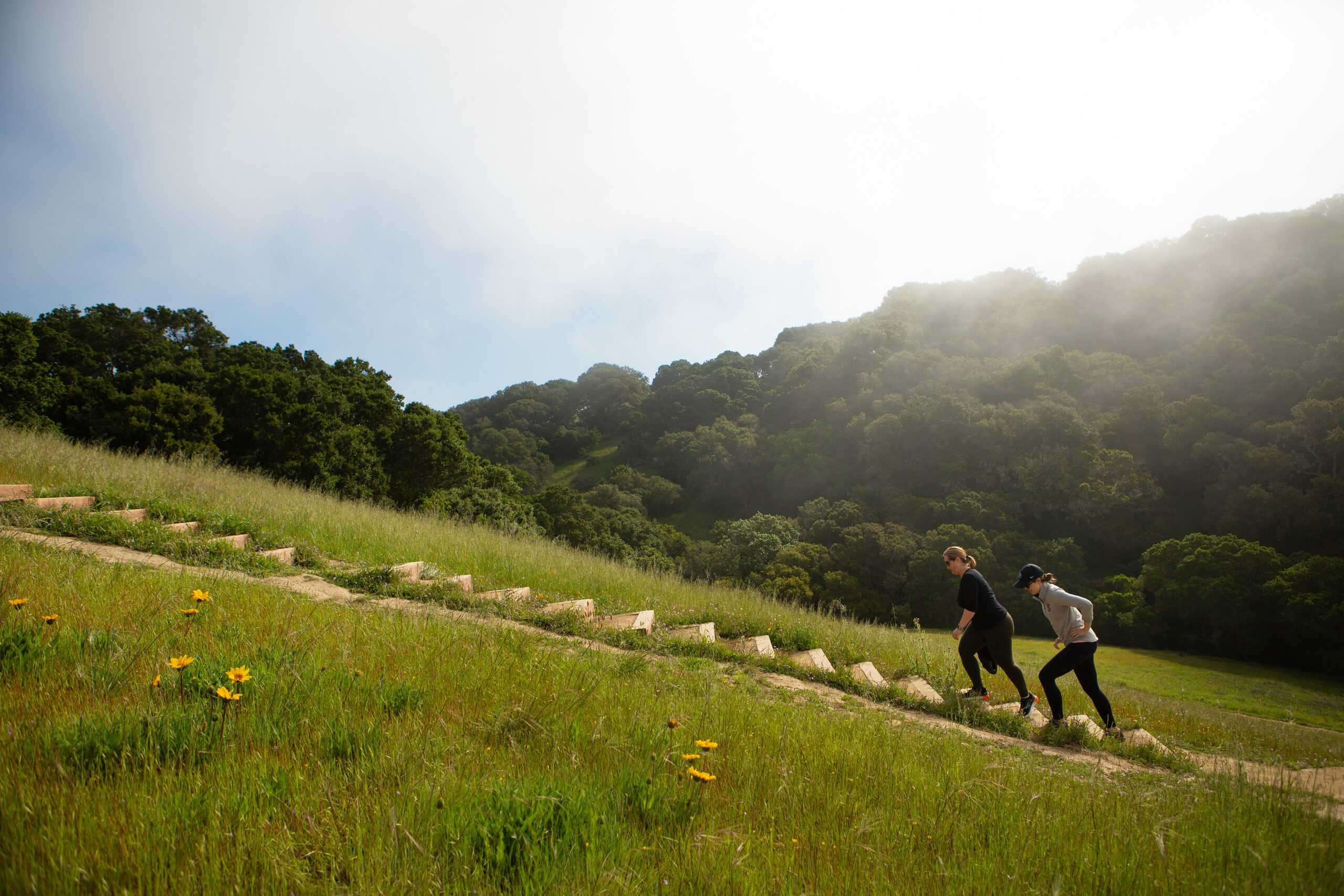 Helen Putnam Regional Park is a favorite local hiking spot