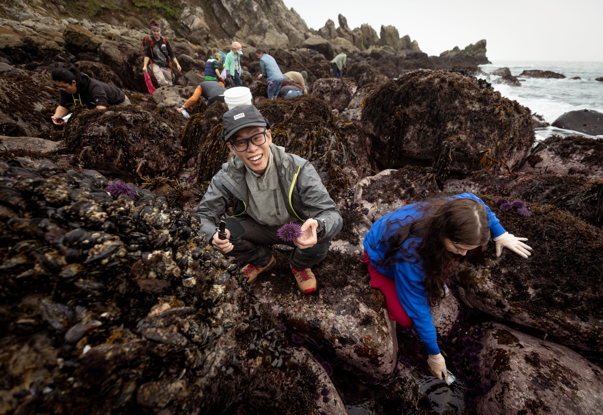 David Chew and Megan Harclerode comb the rocks for purple sea urchins during foraging class with Fork in the Path