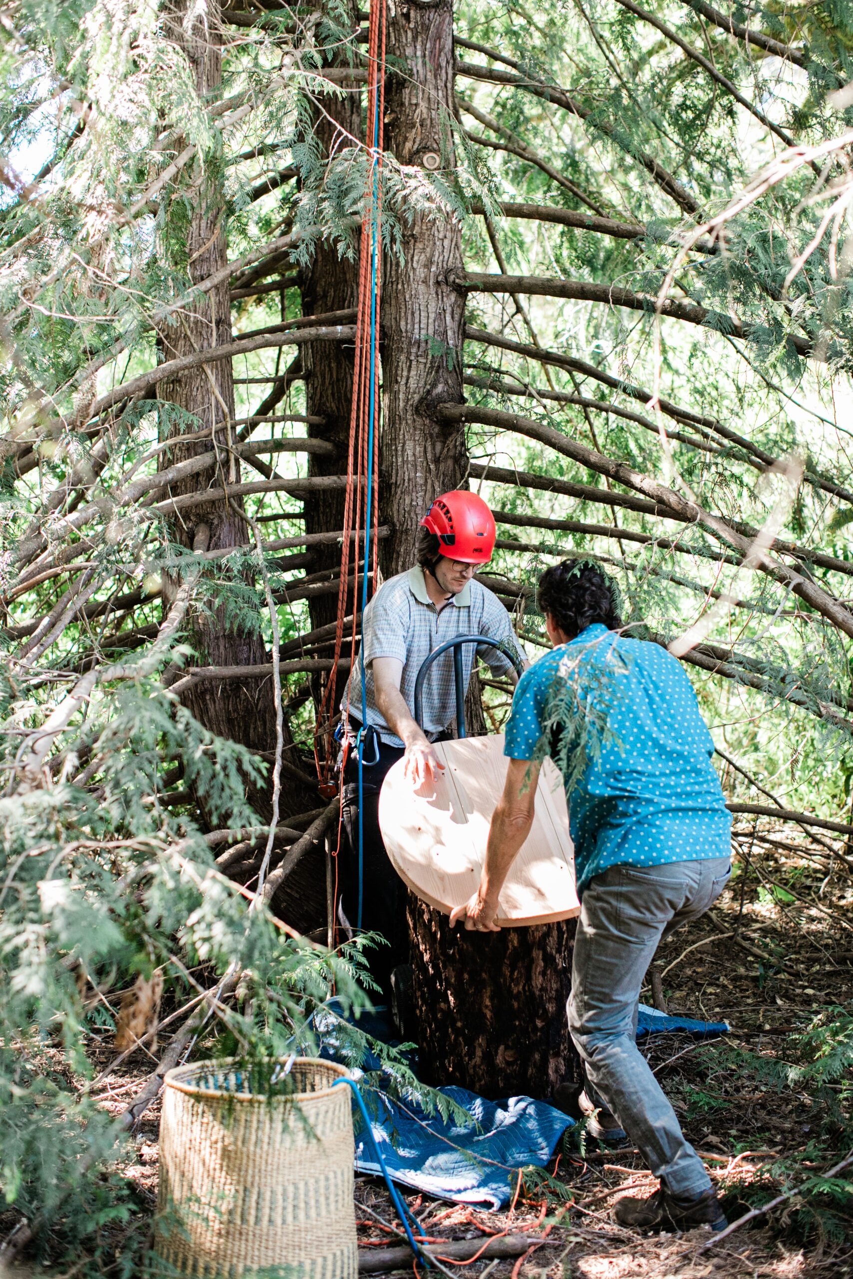 Apis Arborea founder Michael Thiele and conservation specialist Conner McElroy prepare to install a TreeNest to house feral honeybees.