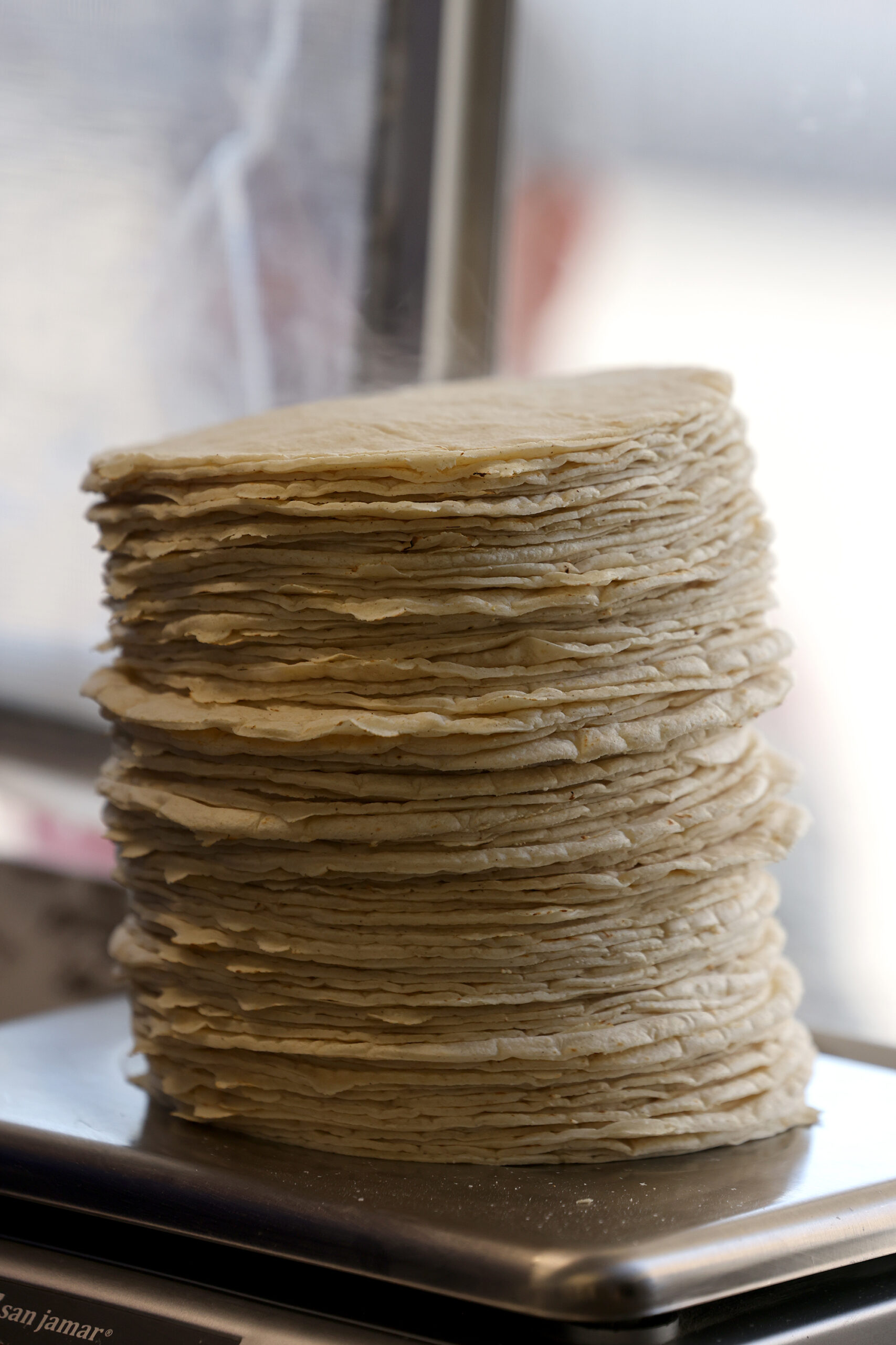A stack of freshly made tortillas at Tortilleria Apatzingan in Santa Rosa 