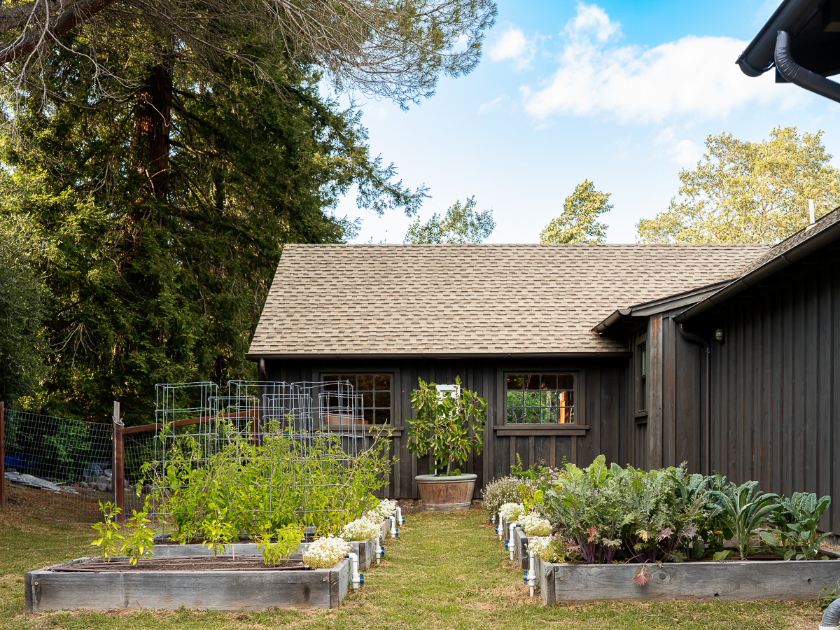 Raised garden beds. (Jeffrey Frisk)