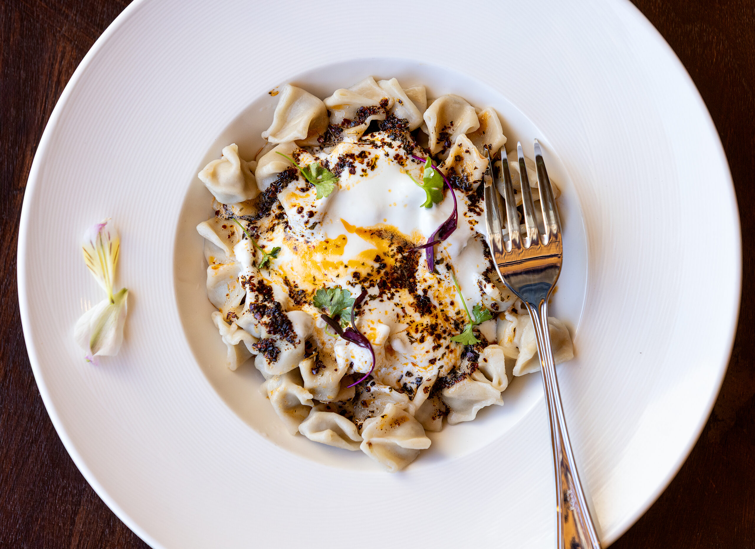 Manti, beef dumplings, garlic yogurt, brown butter and parsley from Alesta Modern Mediterranean Wednesday, June 3, 2026 in Sebastopol. (John Burgess/The Press Democrat)