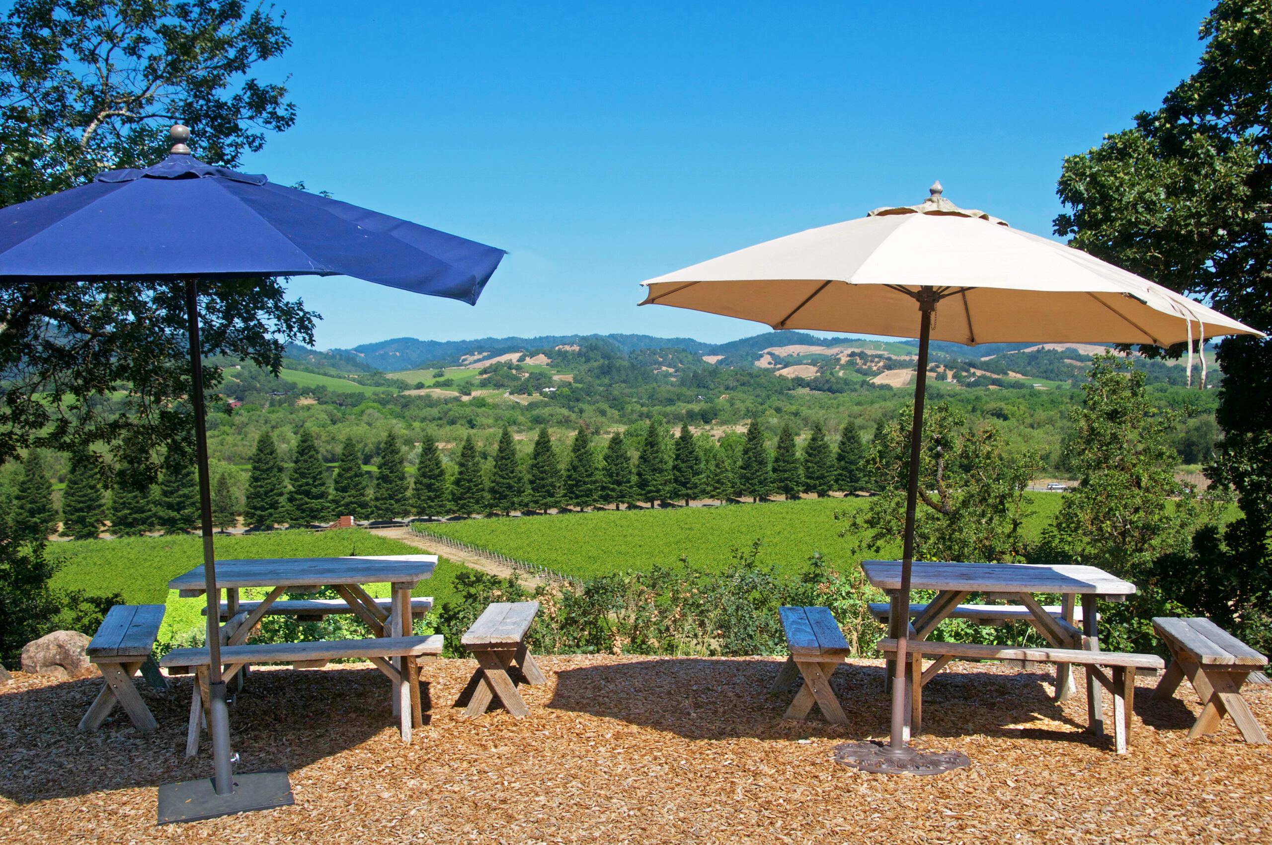 The view at Copain Wines south of Healdsburg. (Sonoma County Tourism)