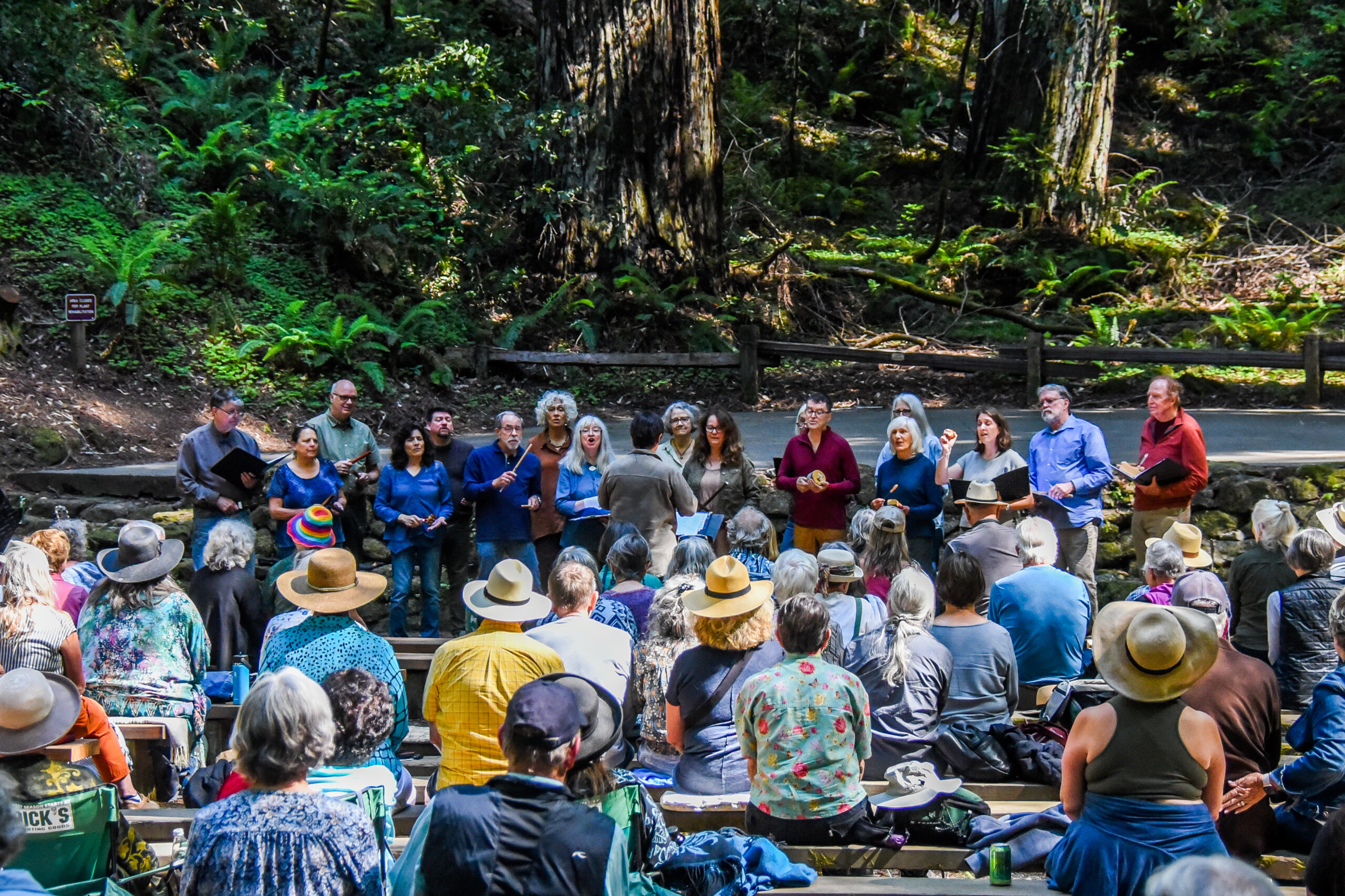 Acorn MusEcology performs at Armstrong Redwoods State Natural Reserve in Guerneville. (Peter Viehoever)