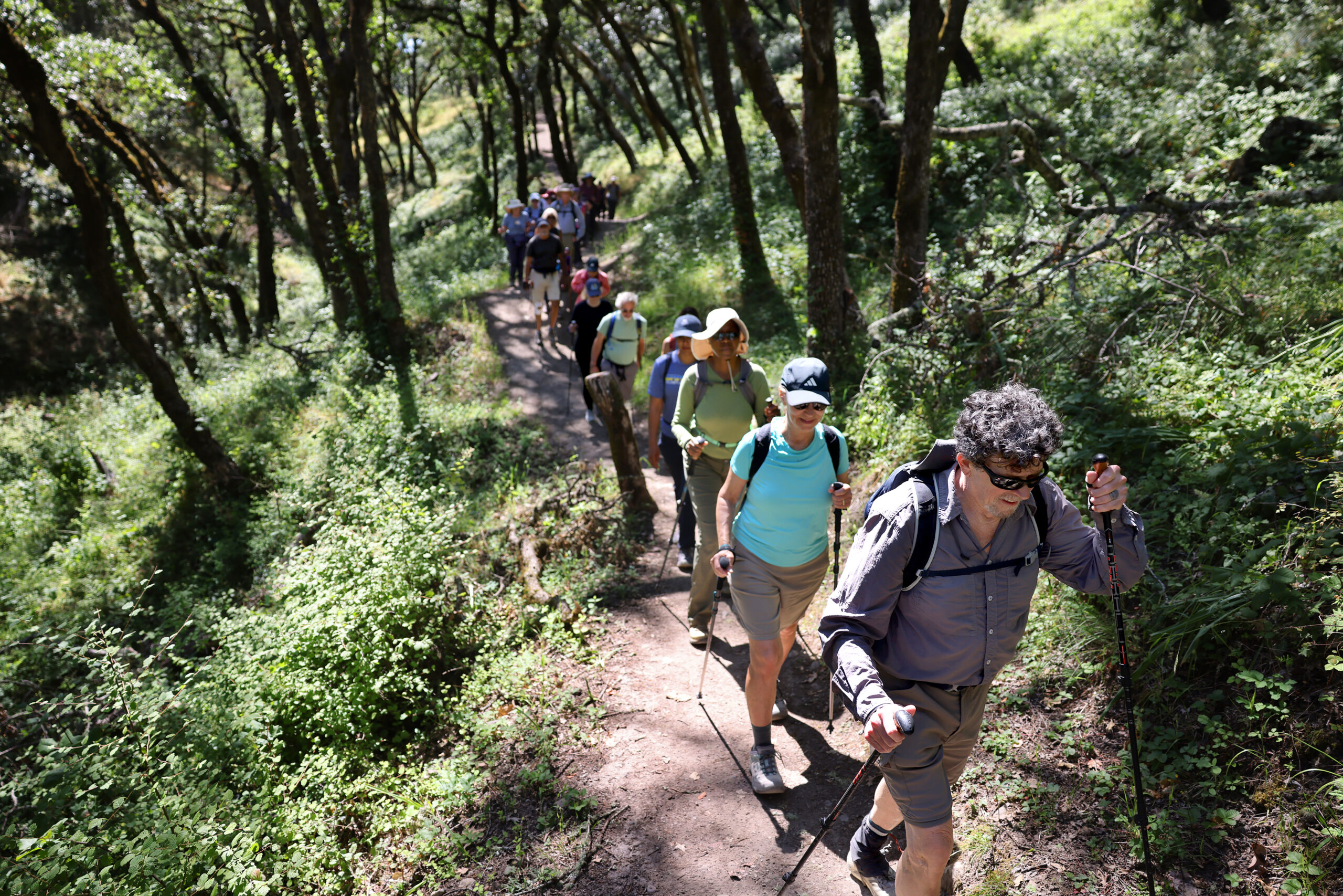 Zoli Somogyi leads a group with “Go Wild Hikers” along a trail at Shiloh Ranch Regional Park in Windsor Sunday, May 31, 2026. (Beth Schlanker / The Press Democrat)