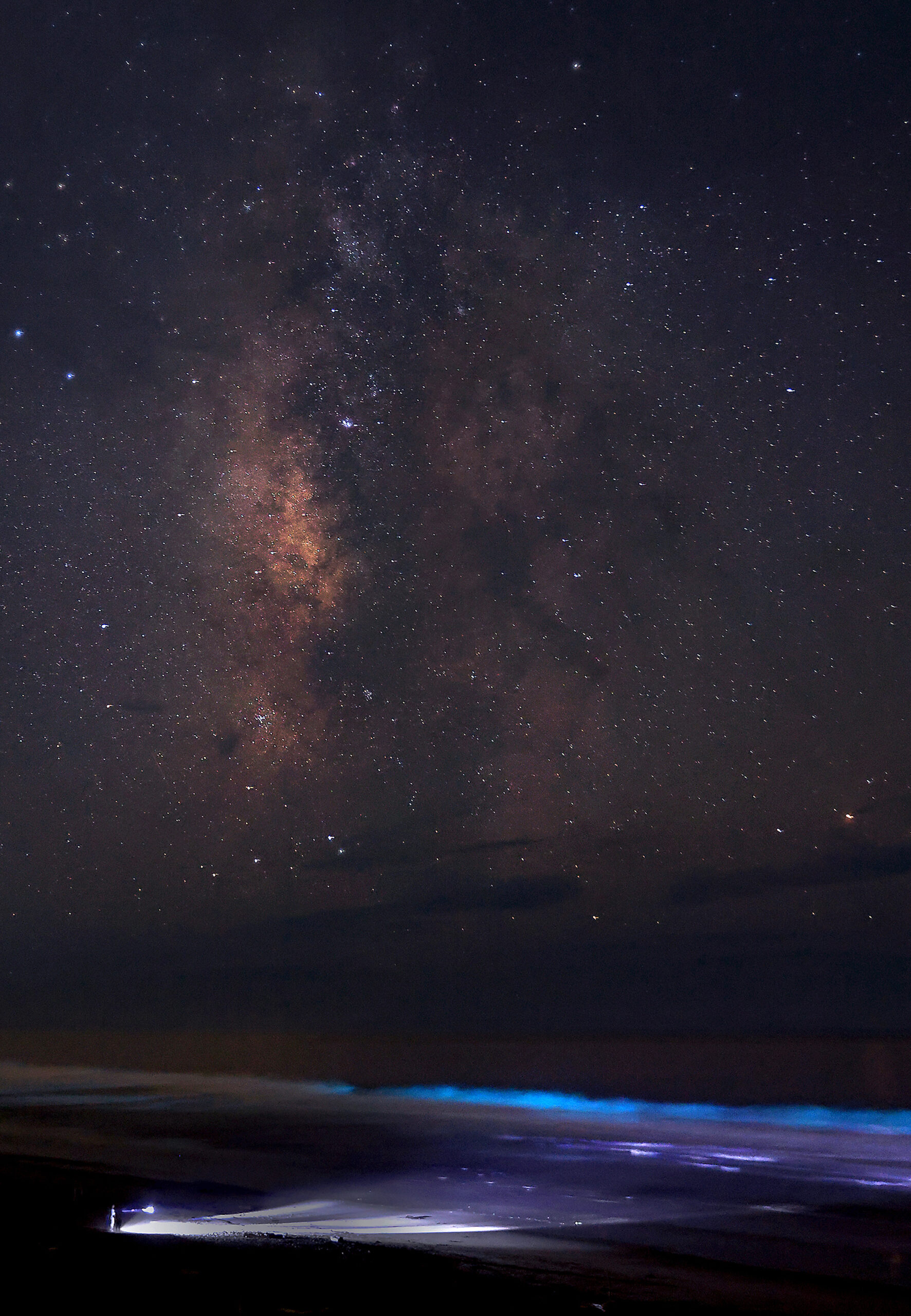 bioluminescence at Salmon Creek Beach on the Sonoma Coast
