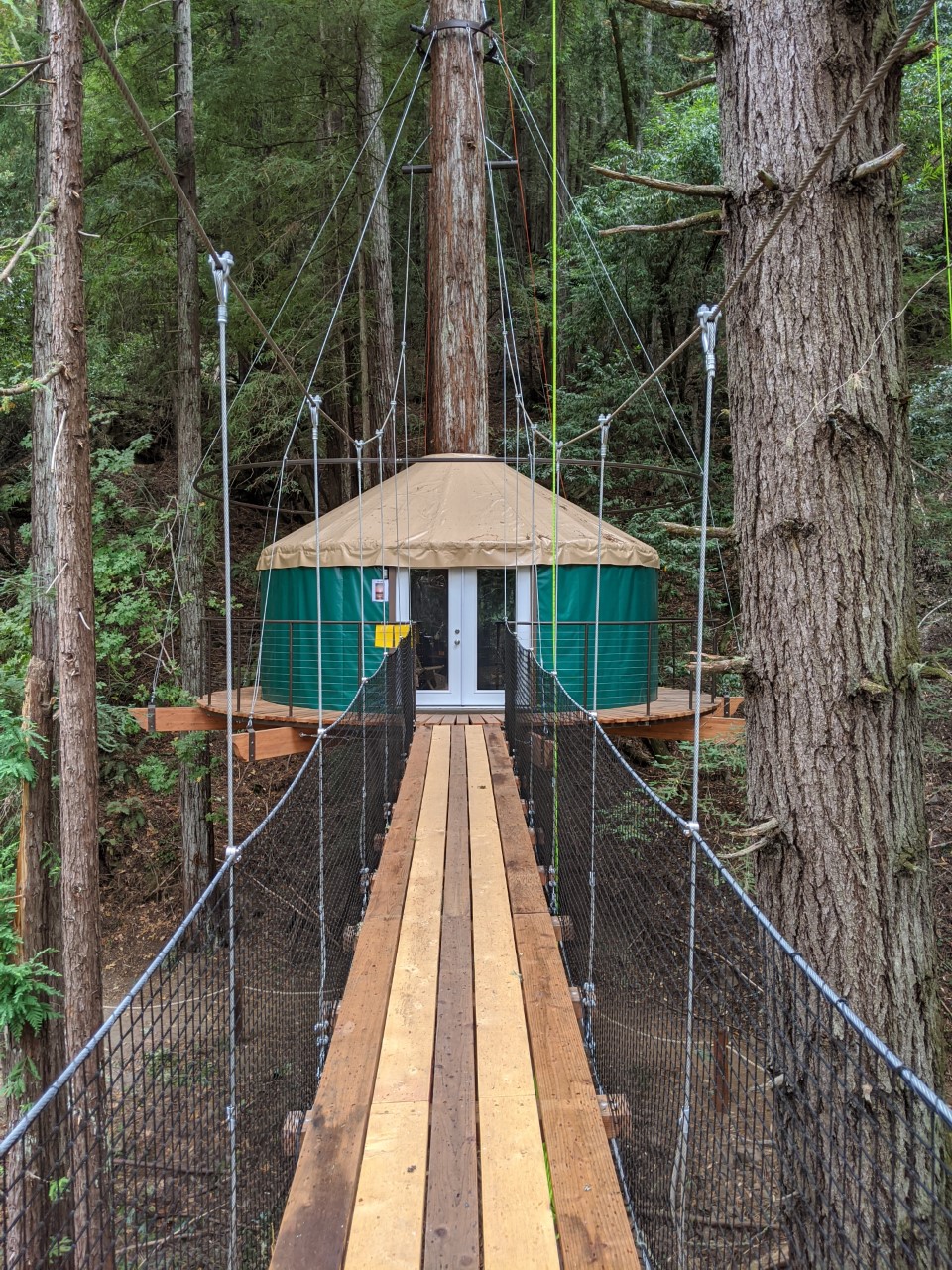 outdoor treehouse in Occidental